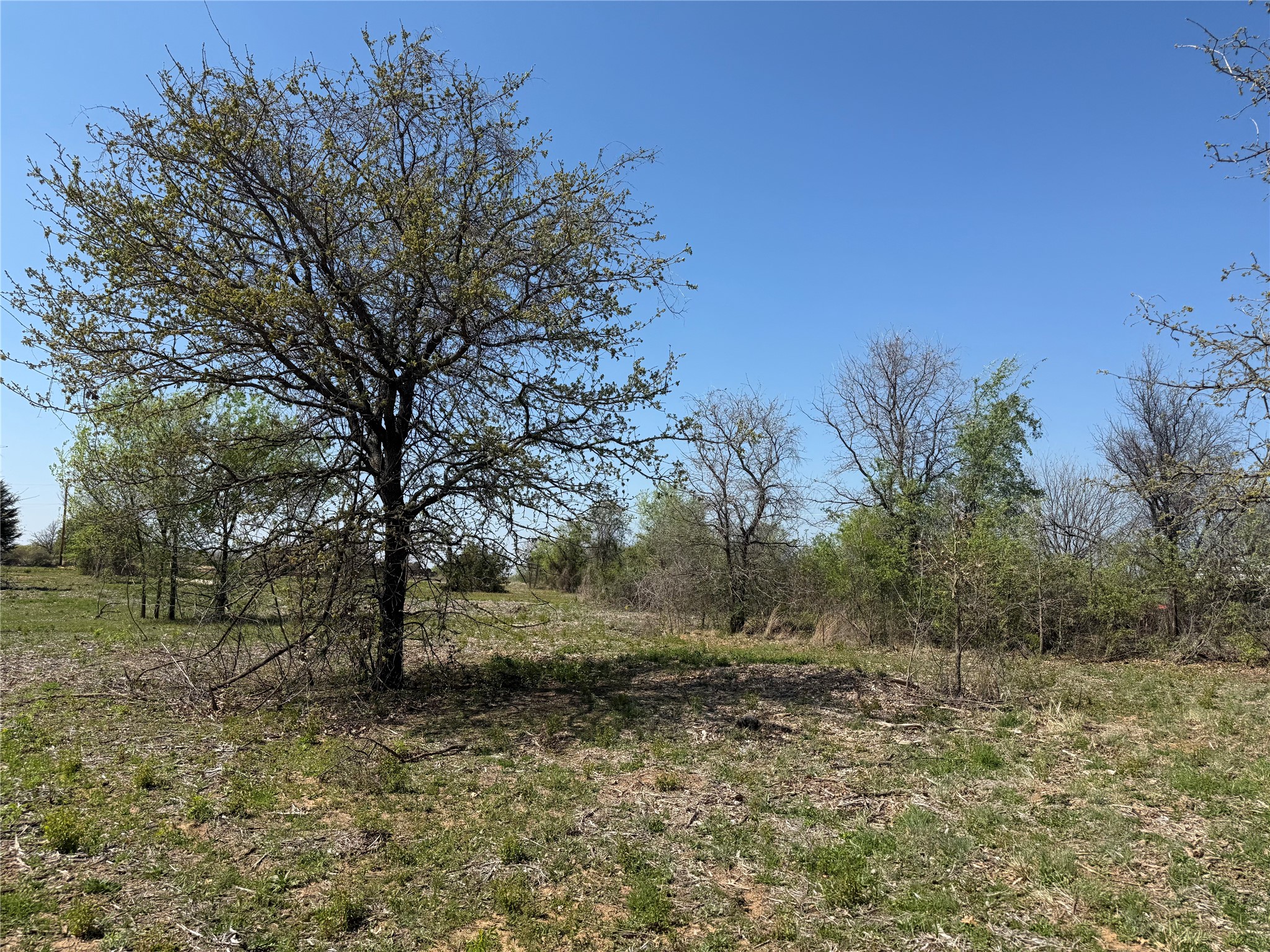 Tbd Lot 5 County Road 3855 Poolville TX 76487