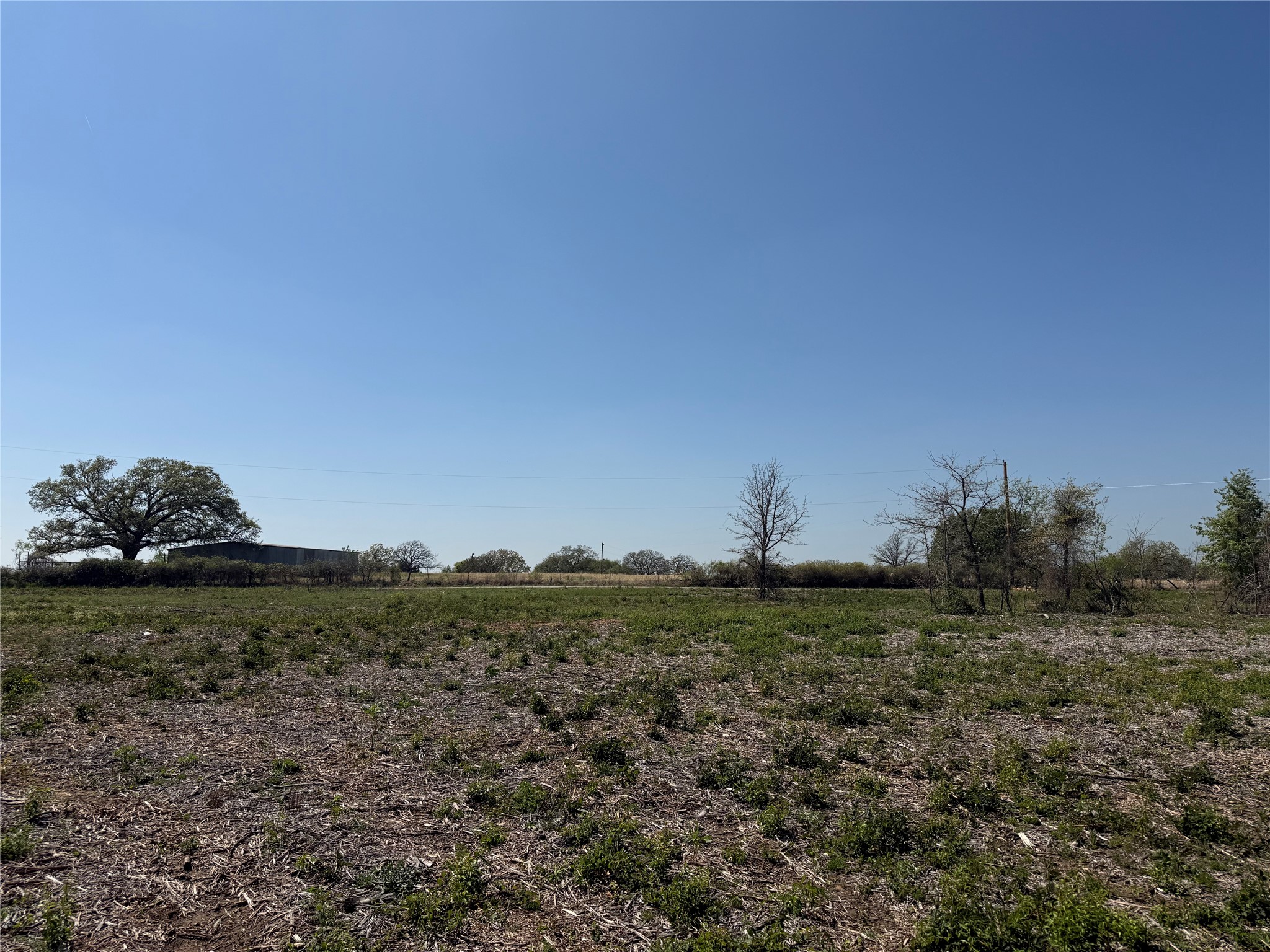 Tbd Lot 5 County Road 3855 Poolville TX 76487