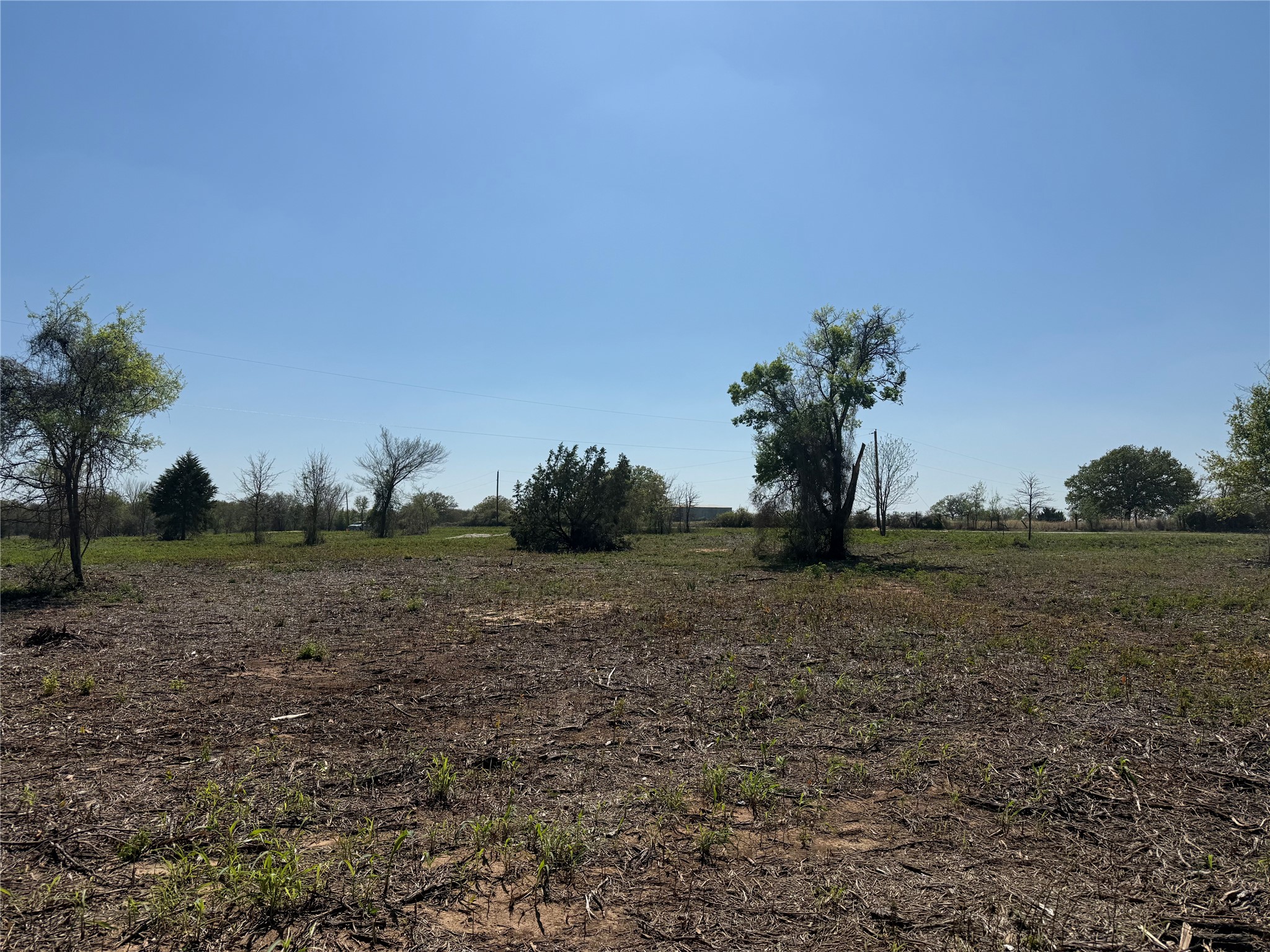 Tbd Lot 5 County Road 3855 Poolville TX 76487