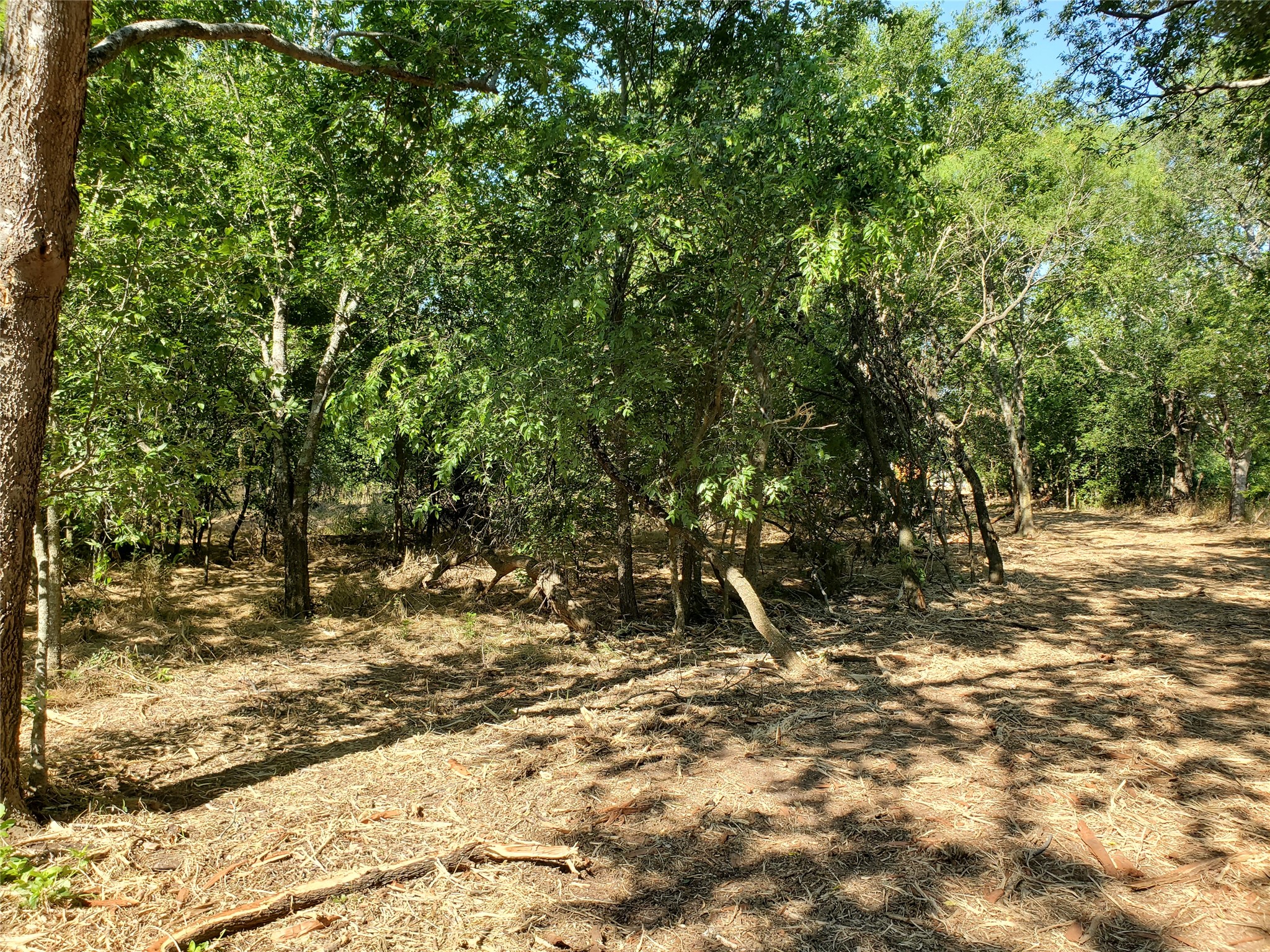 112 Hcr-2221 Aquilla TX 76622