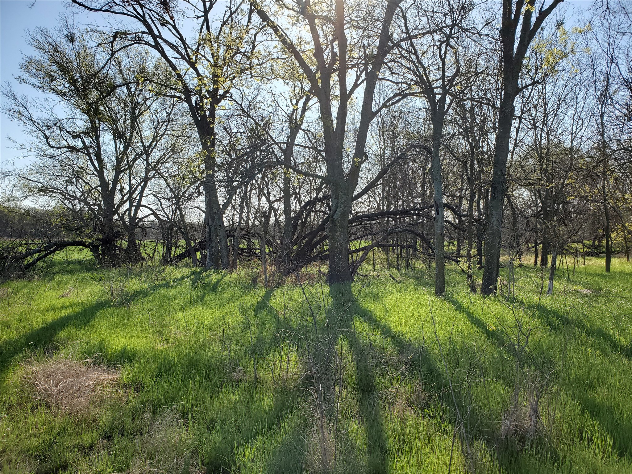 112 Hcr-2221 Aquilla TX 76622