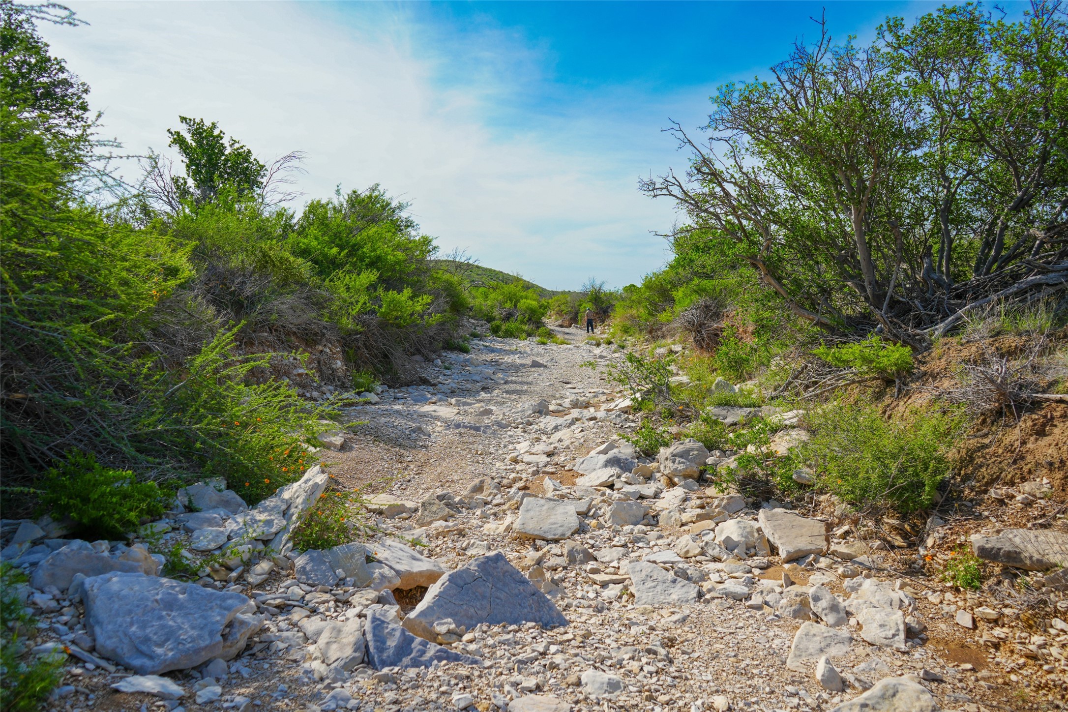 0 Cedar Creek Road No City TX 78851