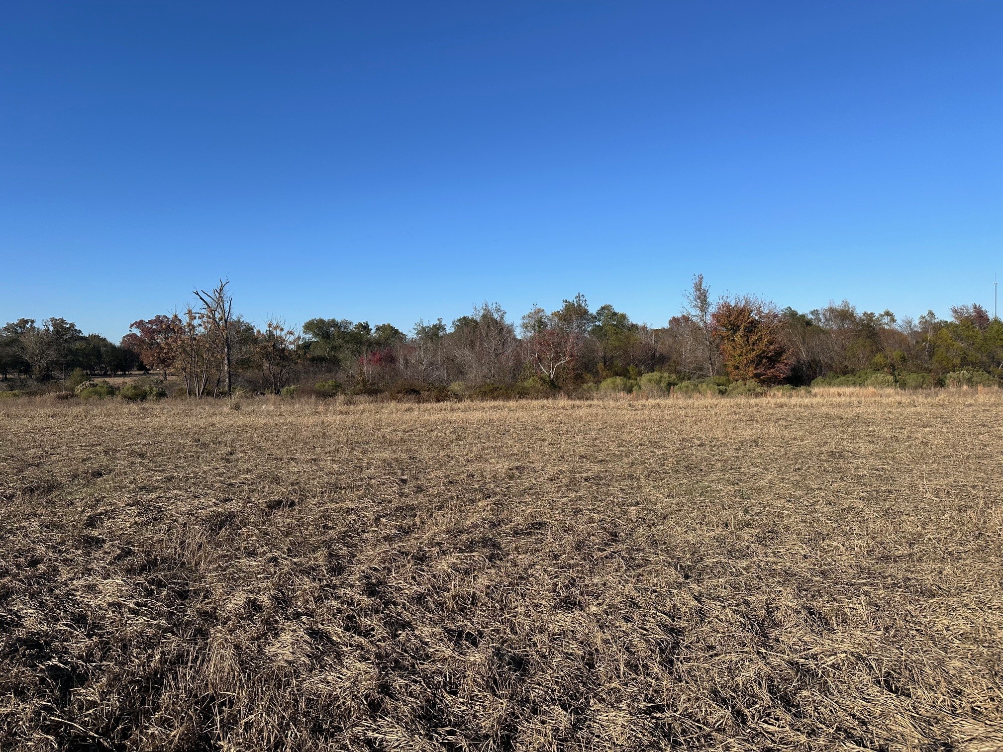 5517 Pr 5107 Athens TX 75752