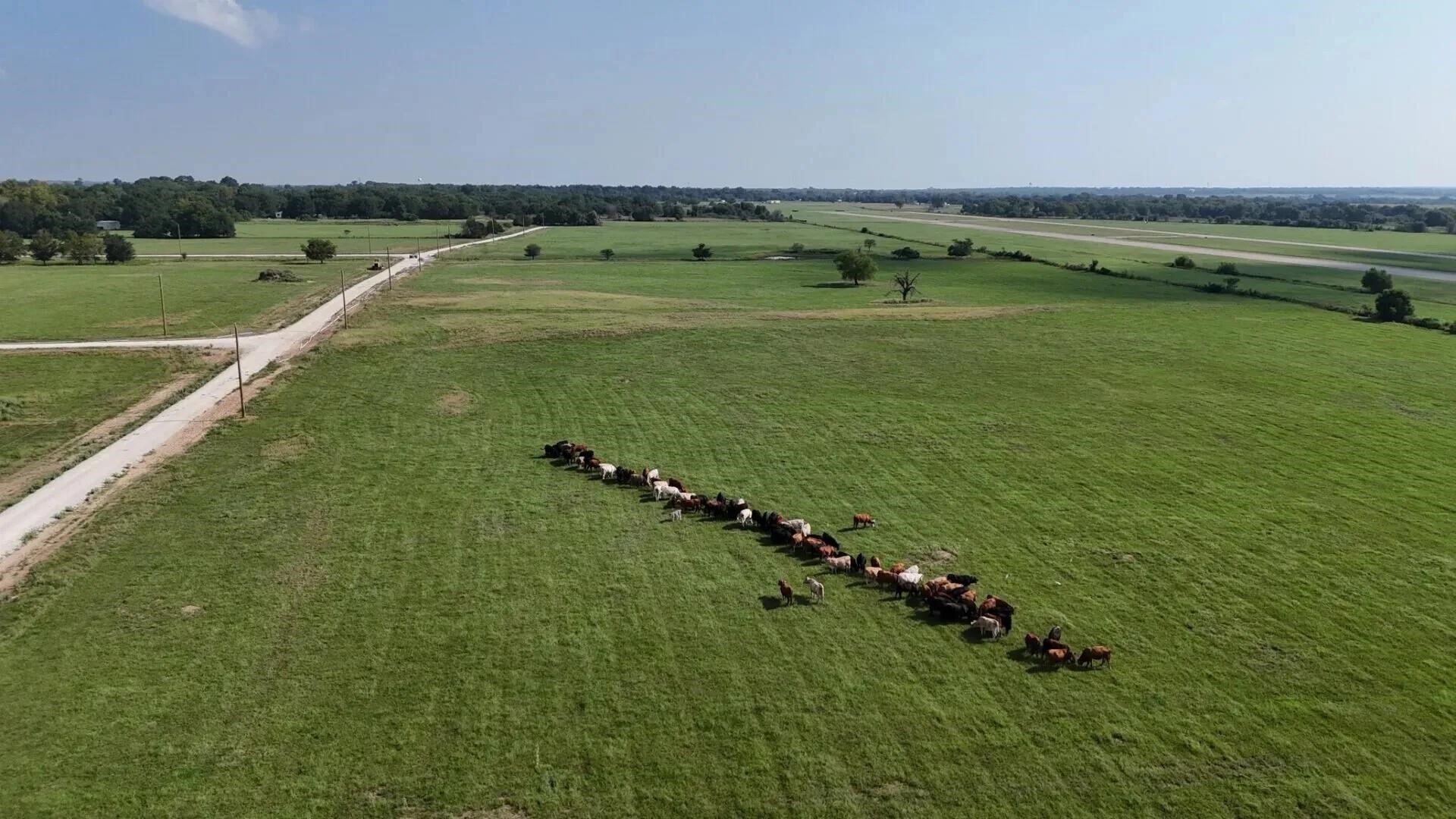 Tbd Pr 5463 Mexia TX 76667