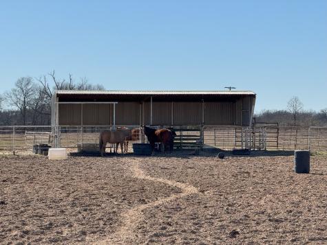 302 Vz County Road 4910 Ben Wheeler TX 75754