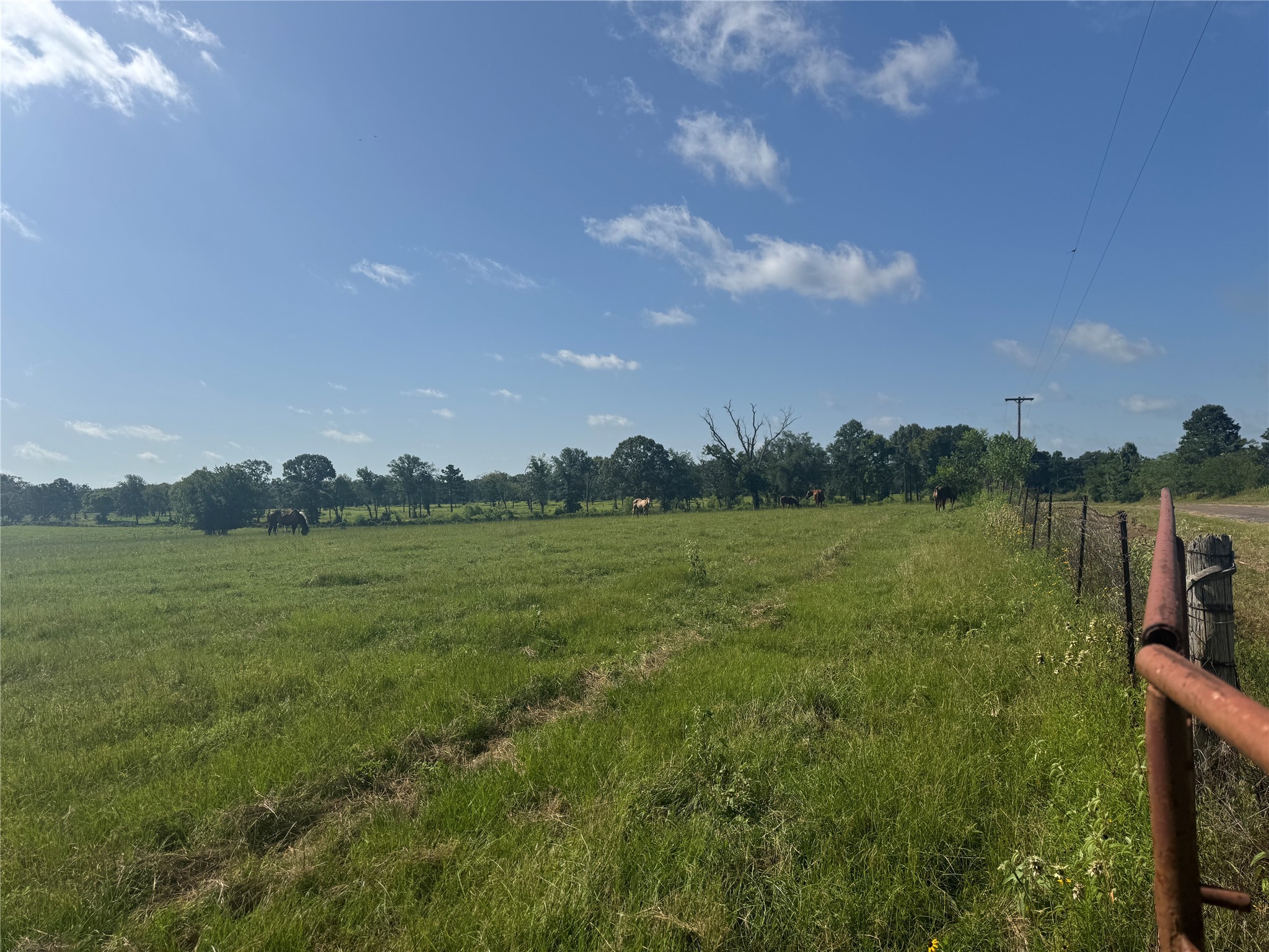 302 Vz County Road 4910 Ben Wheeler TX 75754