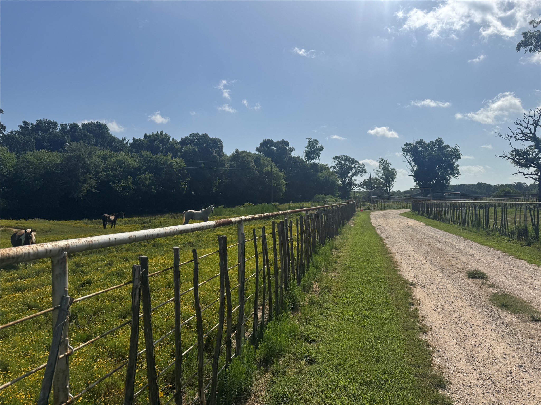 302 Vz County Road 4910 Ben Wheeler TX 75754