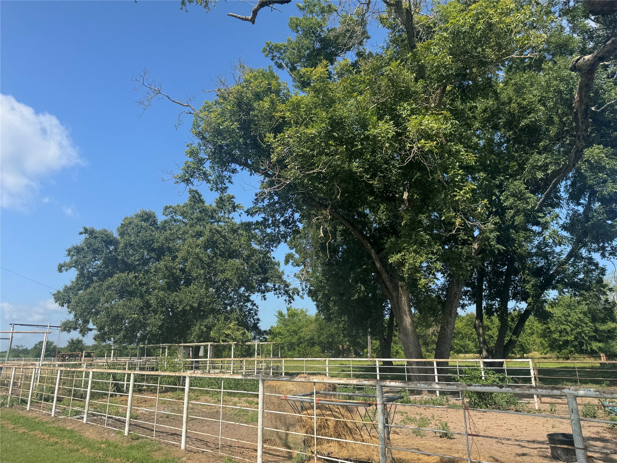 302 Vz County Road 4910 Ben Wheeler TX 75754