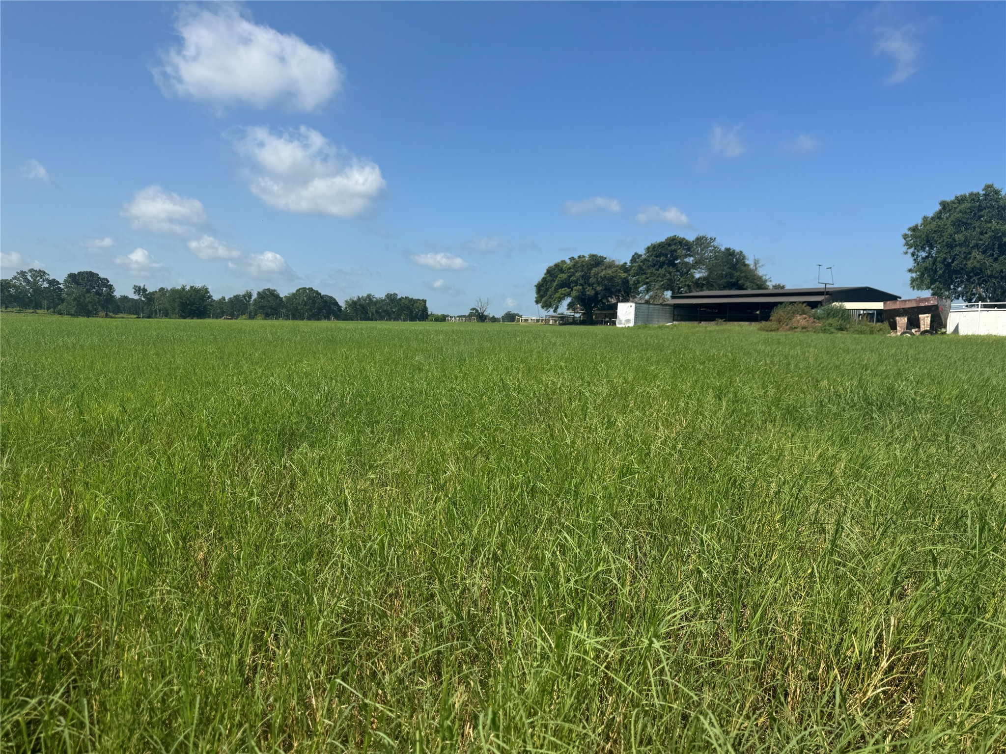 302 Vz County Road 4910 Ben Wheeler TX 75754