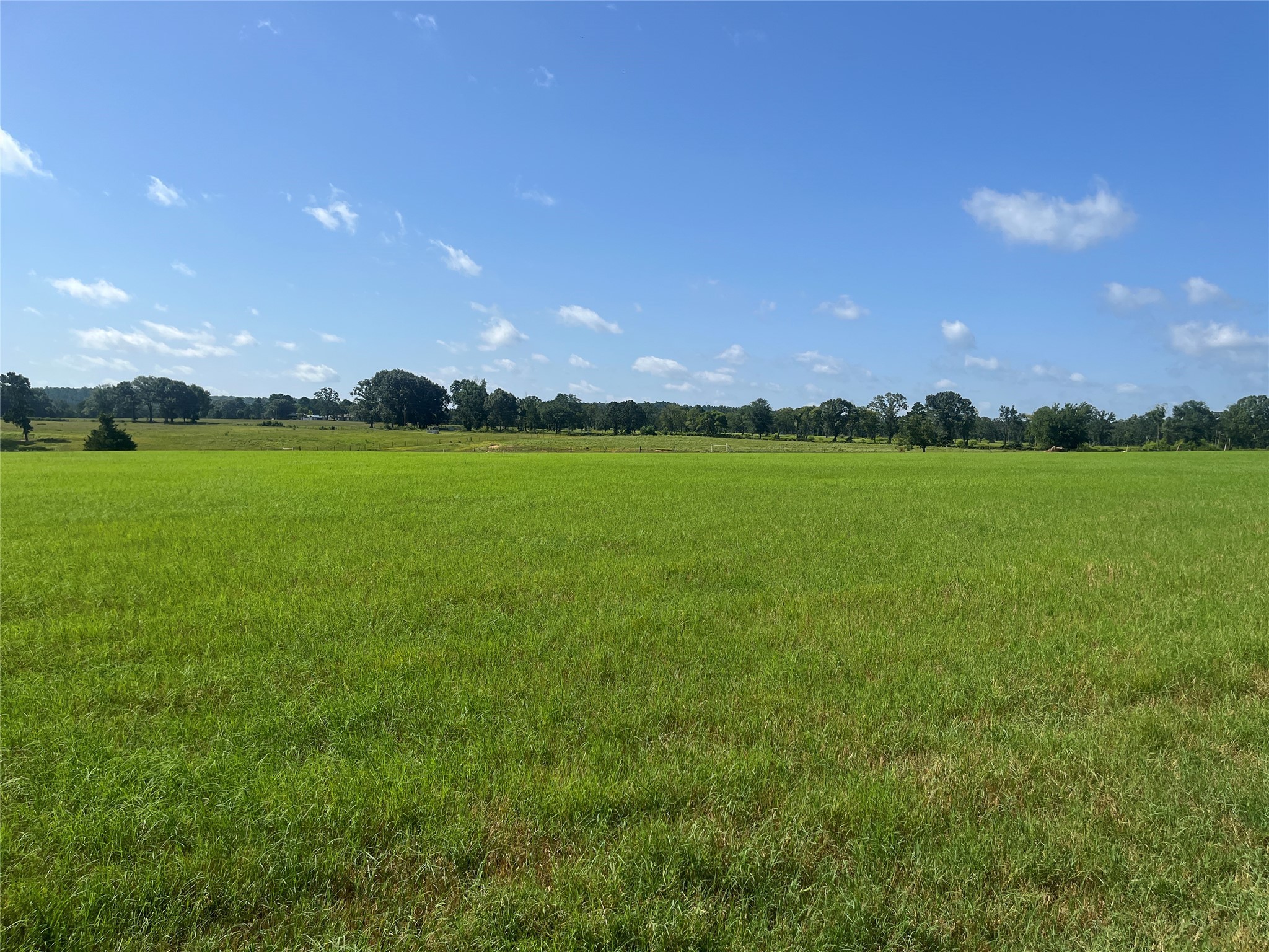 302 Vz County Road 4910 Ben Wheeler TX 75754