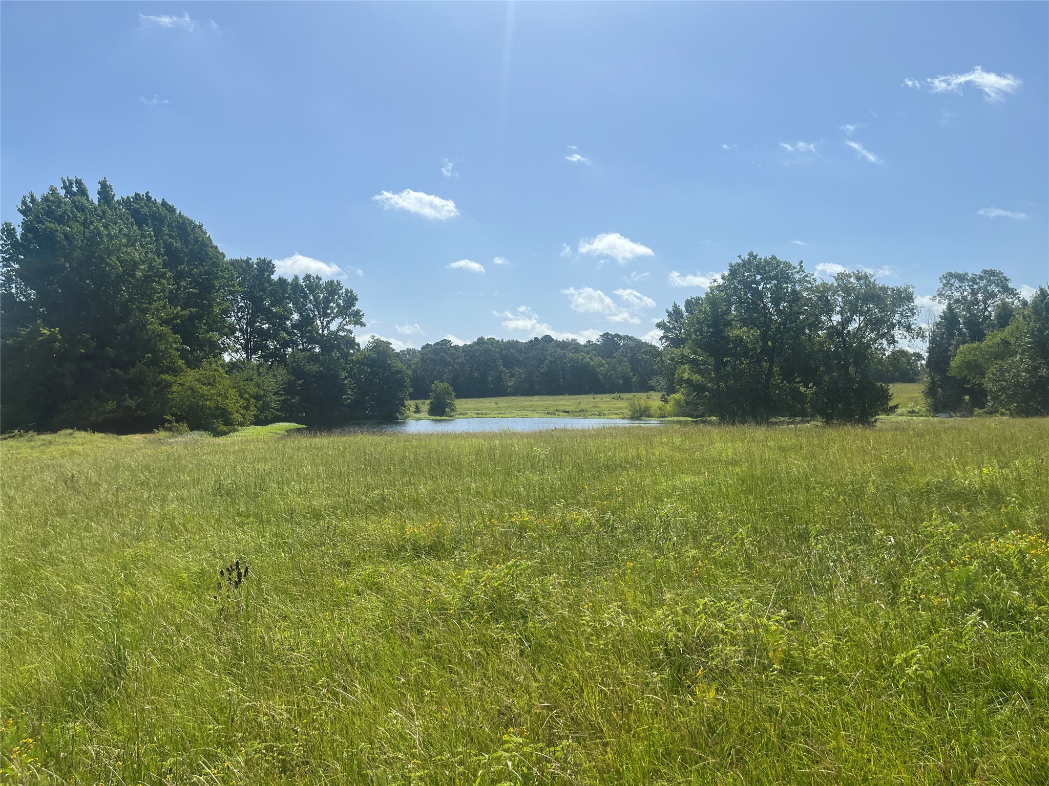 302 Vz County Road 4910 Ben Wheeler TX 75754