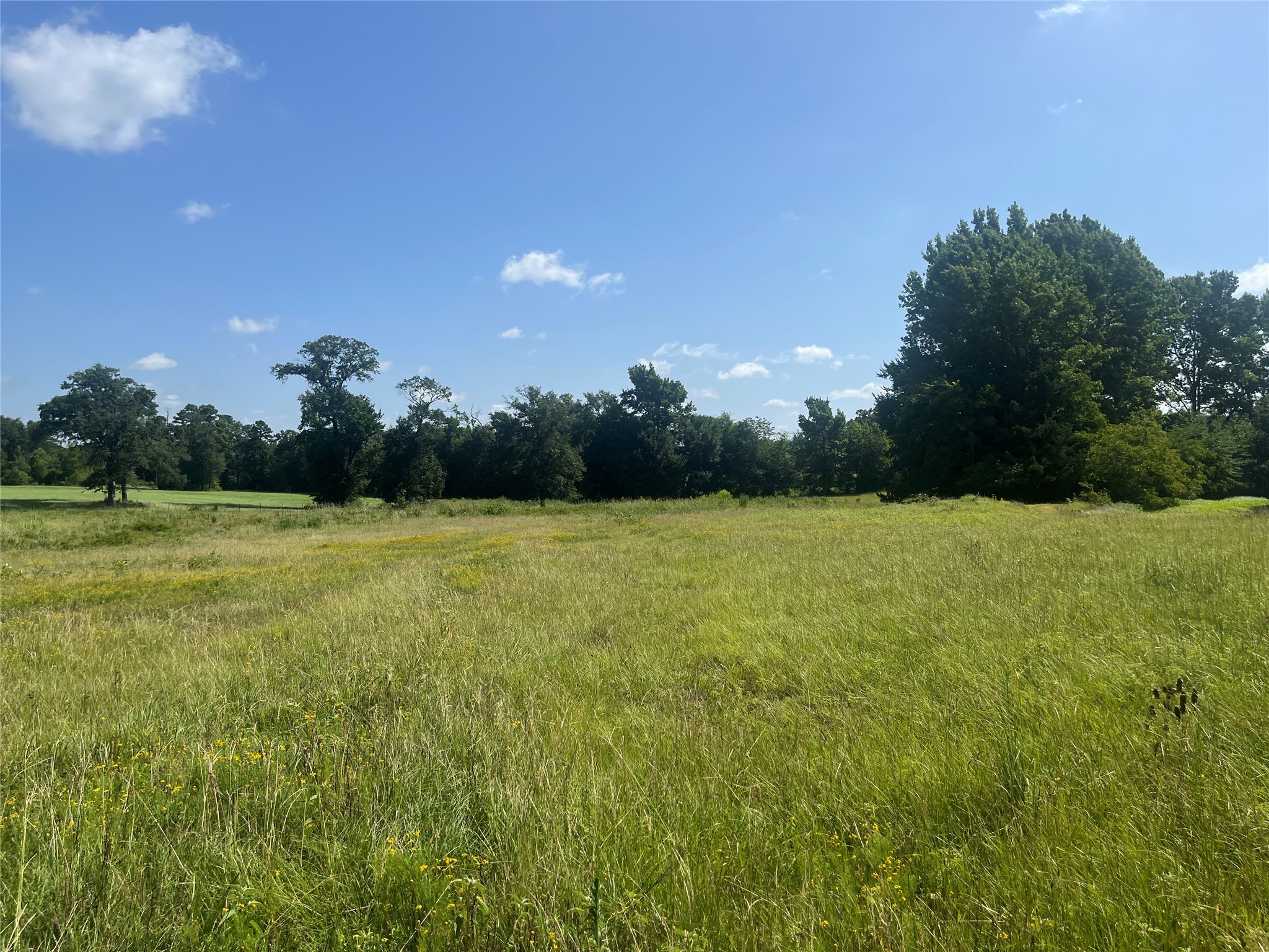 302 Vz County Road 4910 Ben Wheeler TX 75754