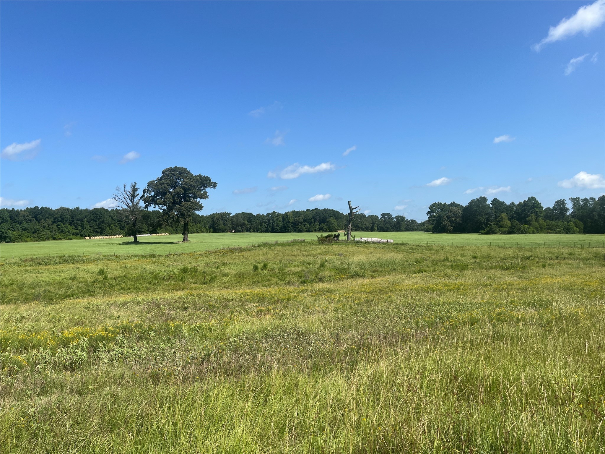 302 Vz County Road 4910 Ben Wheeler TX 75754