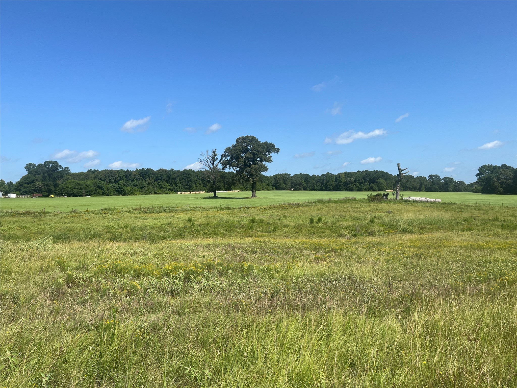 302 Vz County Road 4910 Ben Wheeler TX 75754