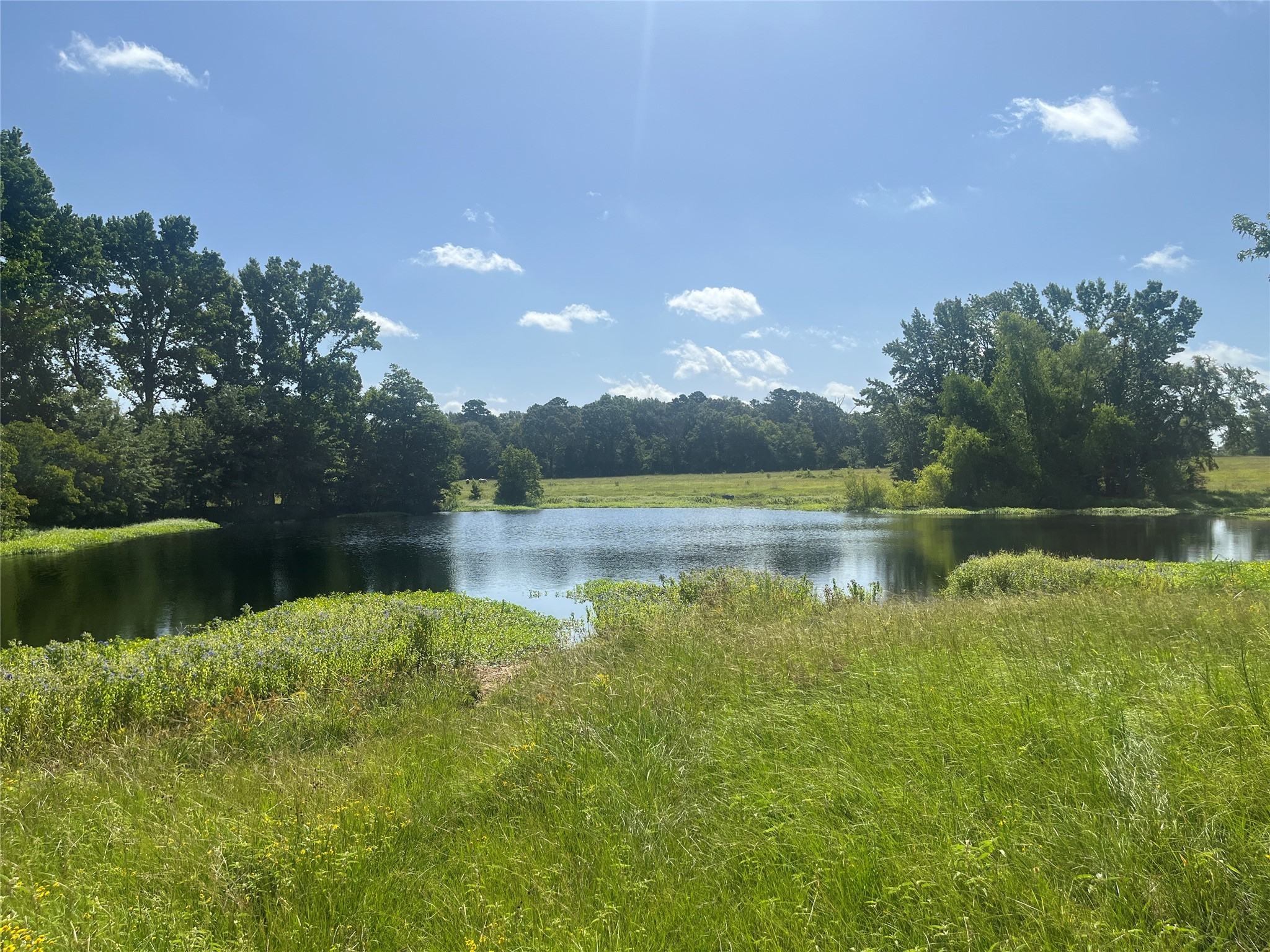 302 Vz County Road 4910 Ben Wheeler TX 75754