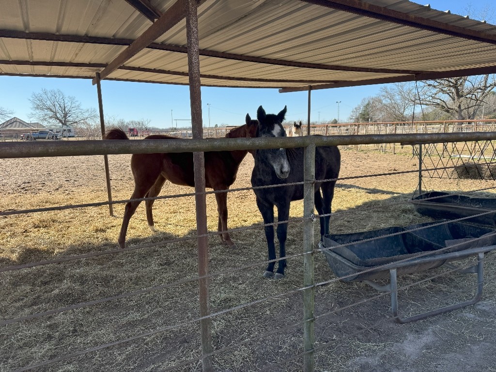 302 Vz County Road 4910 Ben Wheeler TX 75754