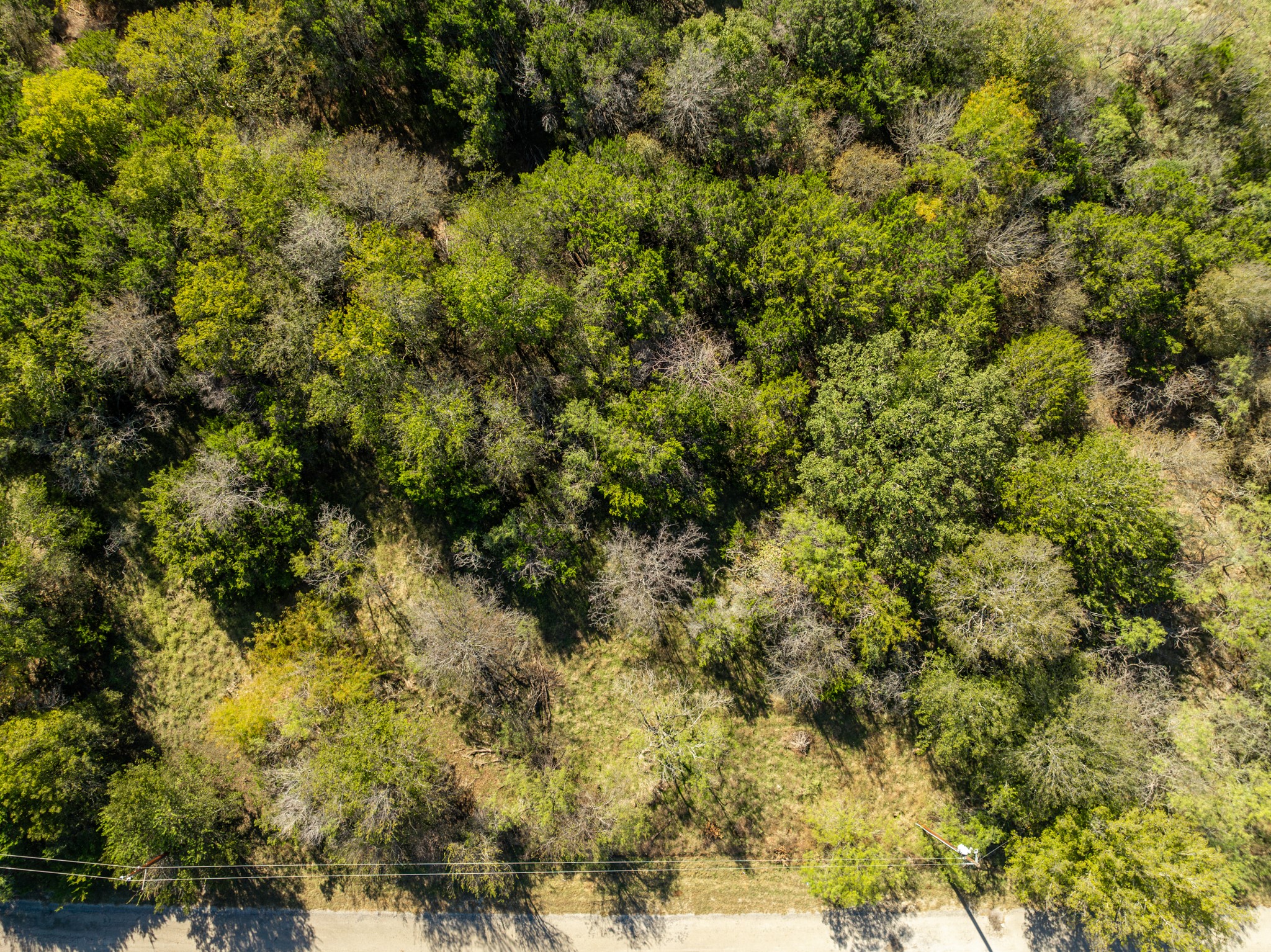 17136 Woodlawn Drive Whitney TX 76692