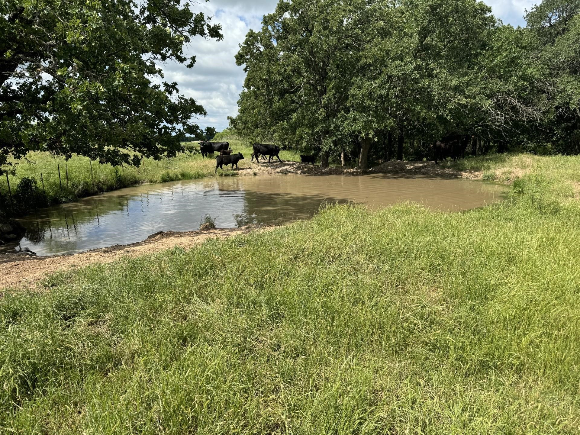 0000 Allen Road Montague TX 76251