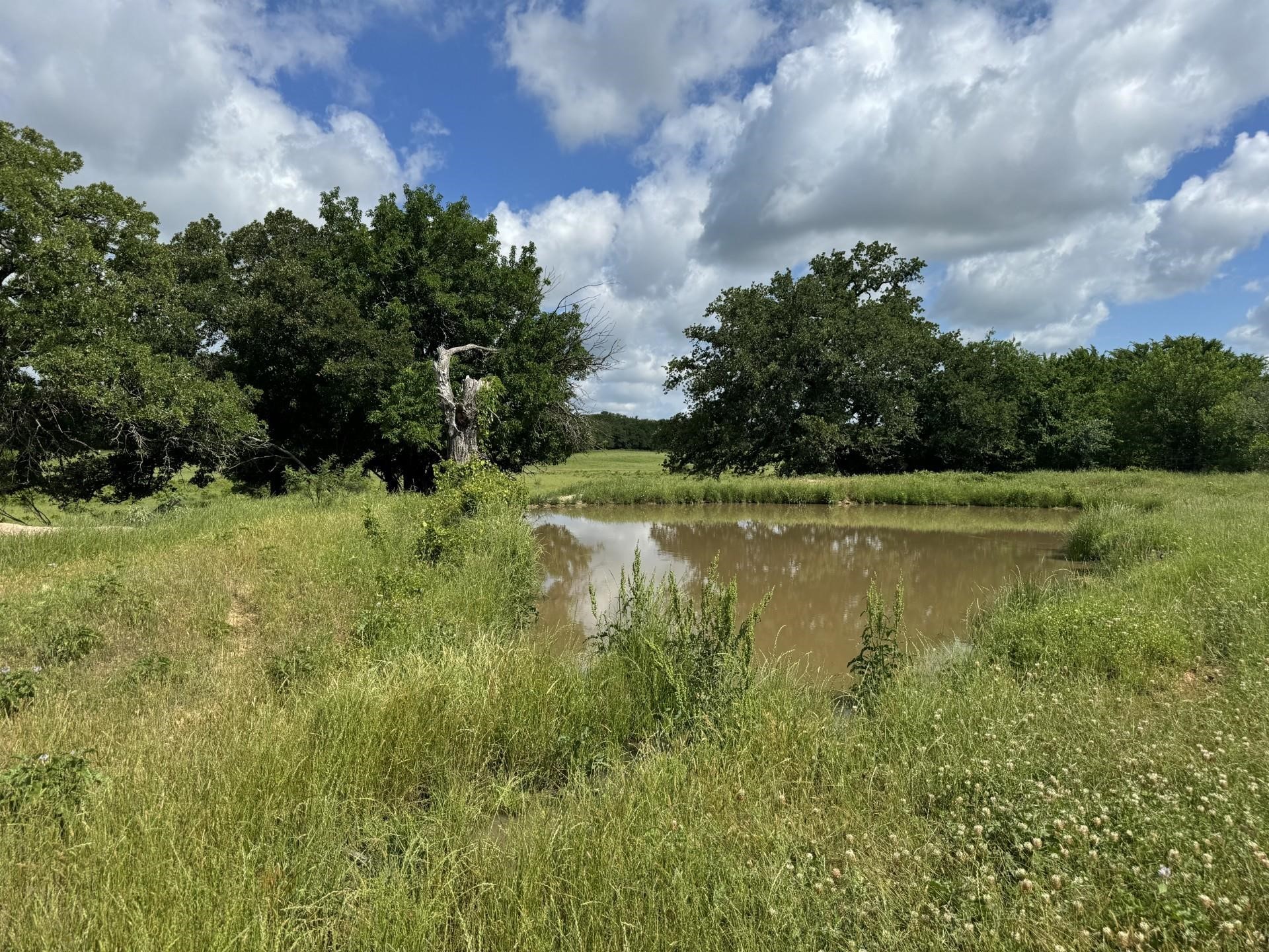 0000 Allen Road Montague TX 76251