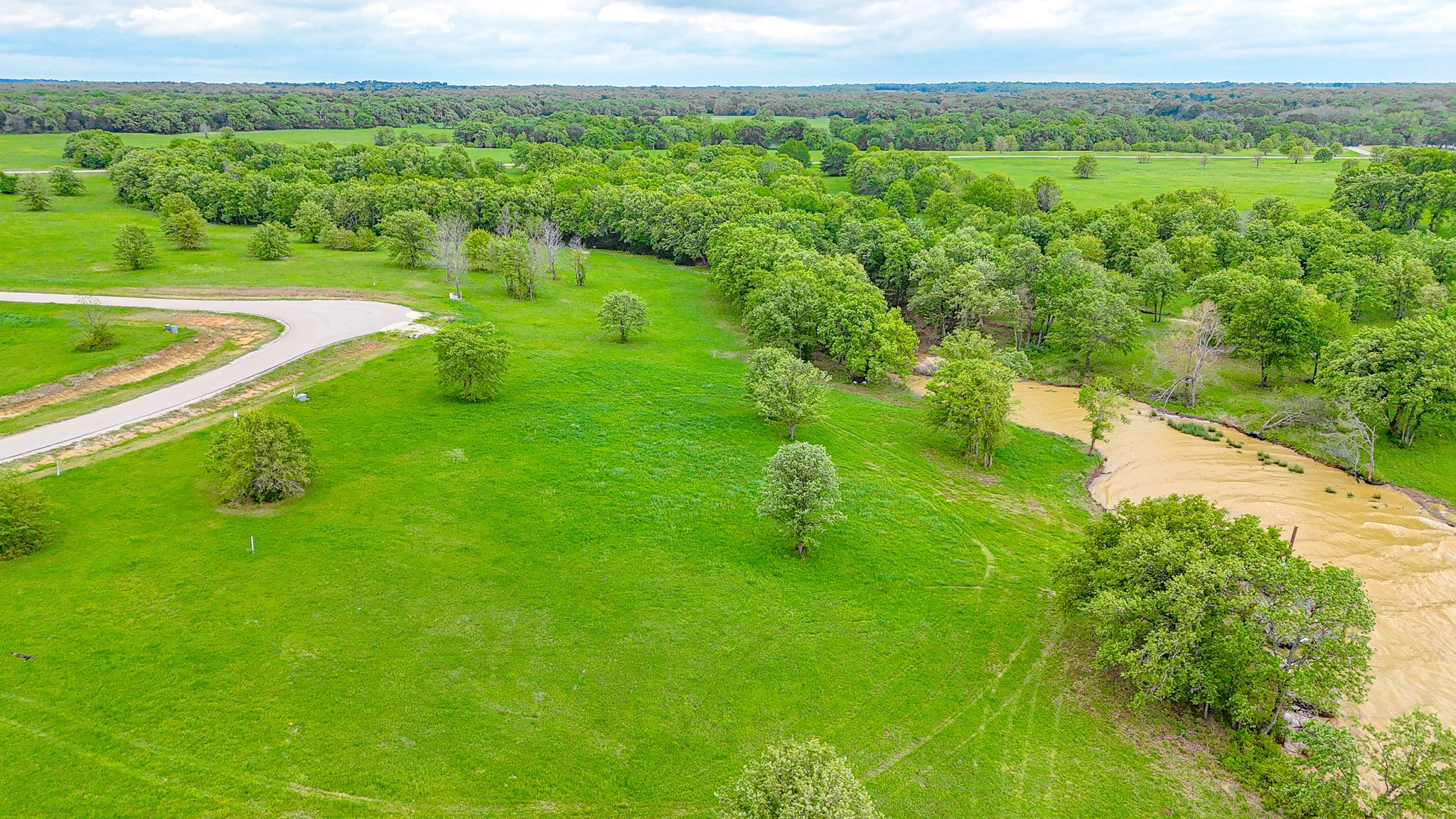 Lot 31 Lake Ridge Drive Streetman TX 75859