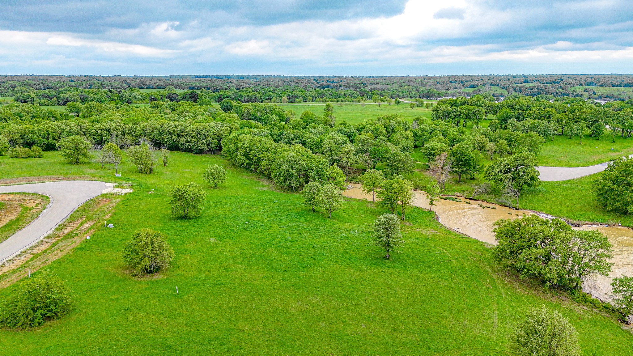 Lot 31 Lake Ridge Drive Streetman TX 75859