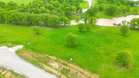 Lot 31 Lake Ridge Drive Streetman TX 75859