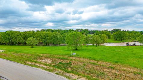 Lot 31 Lake Ridge Drive Streetman TX 75859
