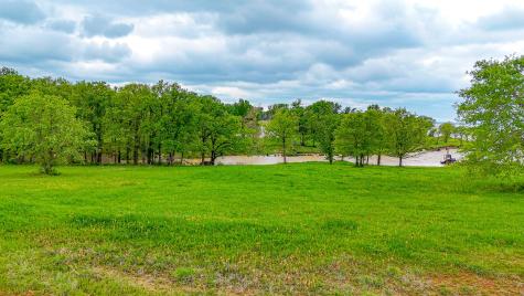 Lot 31 Lake Ridge Drive Streetman TX 75859
