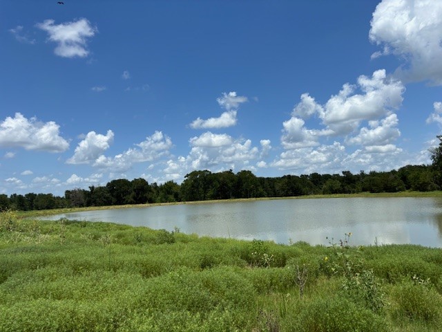 123 Fcr 1000 Road Wortham TX 76693
