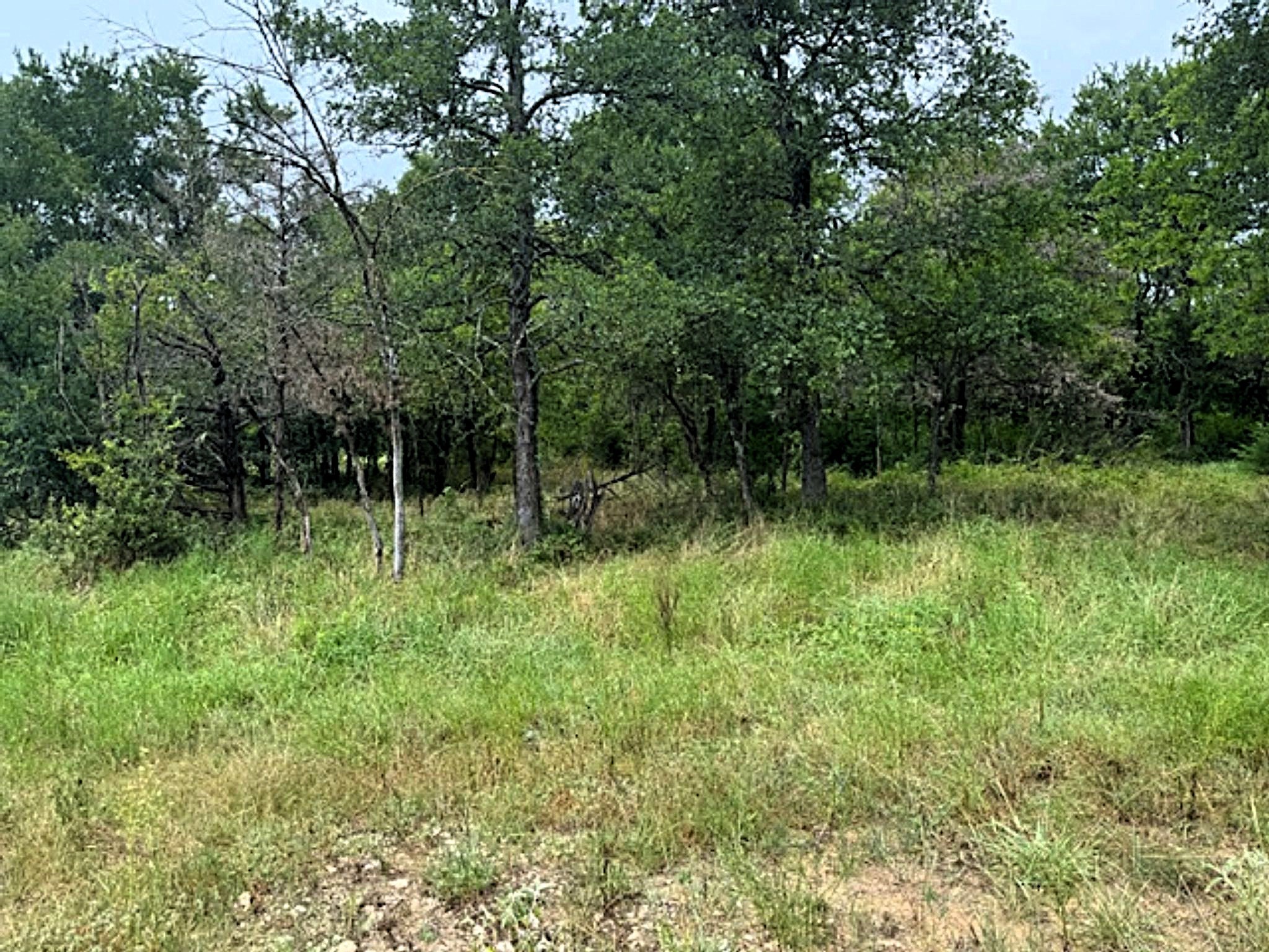 123 Fcr 1000 Road Wortham TX 76693