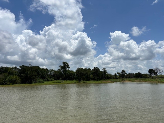 123 Fcr 1000 Road Wortham TX 76693