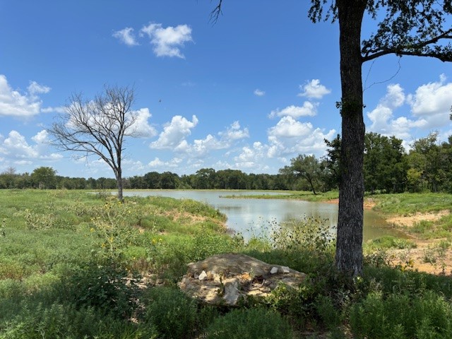 123 Fcr 1000 Road Wortham TX 76693