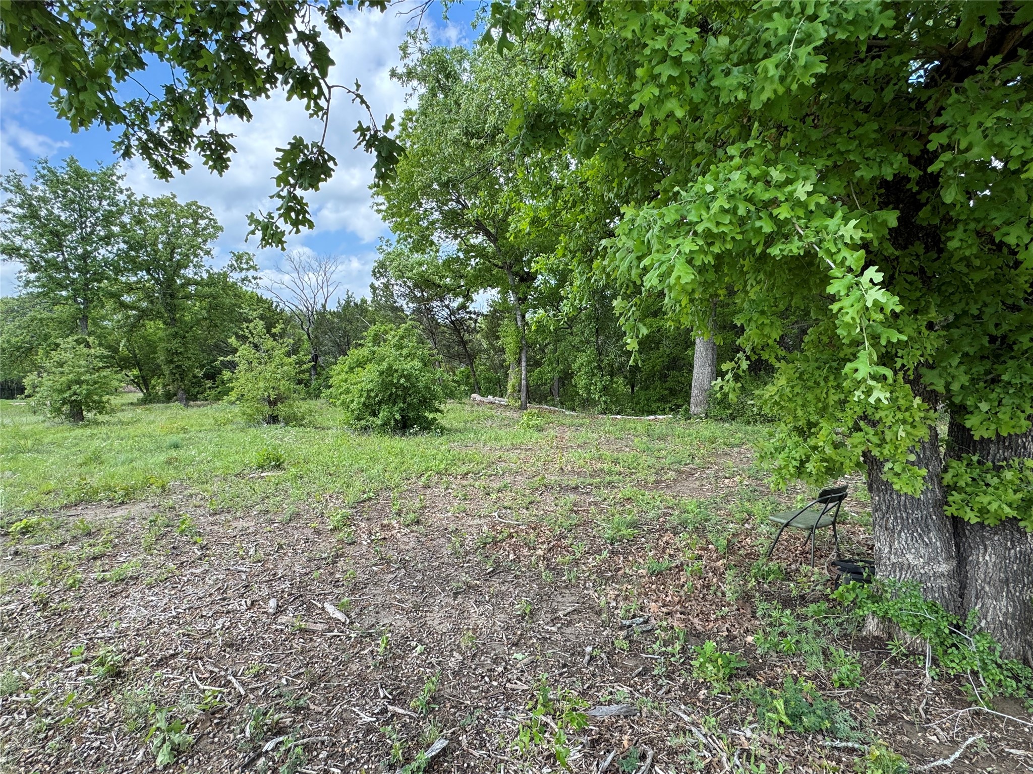 1017 Cedar Hill Drive Nemo TX 76070