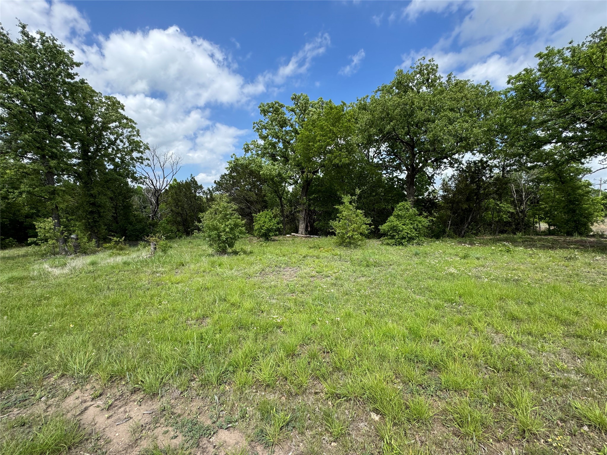1017 Cedar Hill Drive Nemo TX 76070