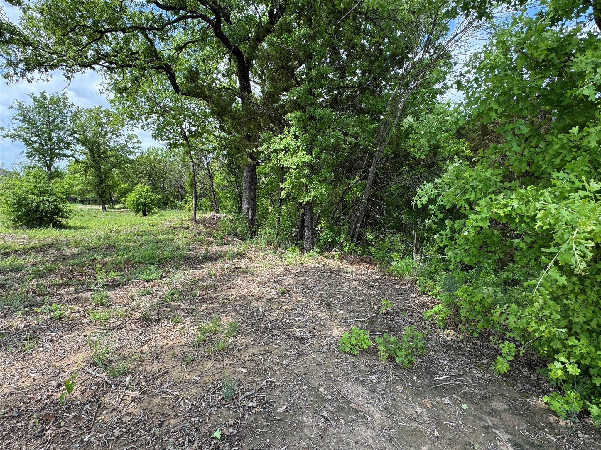 1017 Cedar Hill Drive Nemo TX 76070