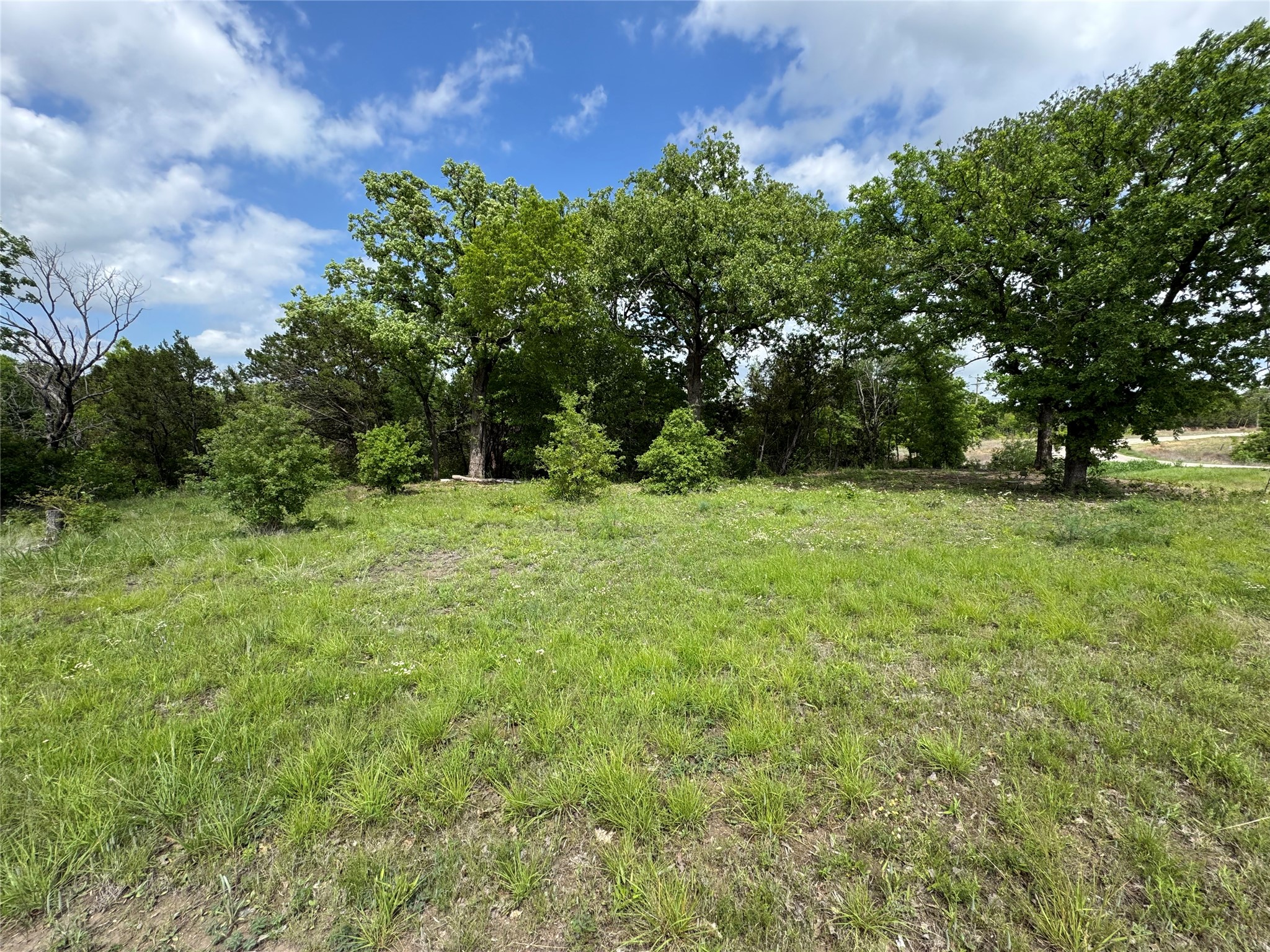 1017 Cedar Hill Drive Nemo TX 76070