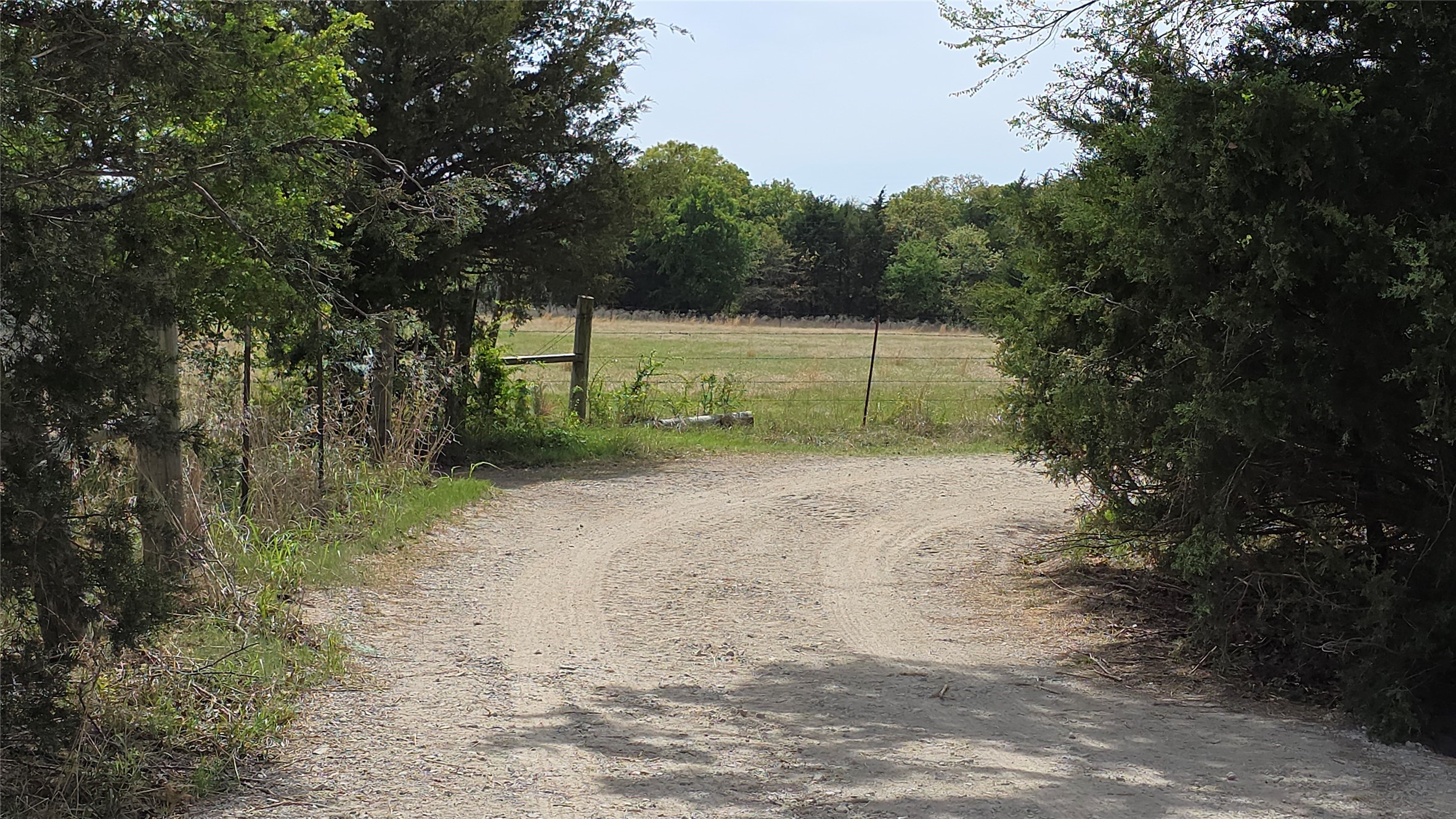 1975 County Road 1025 Ravenna TX 75476