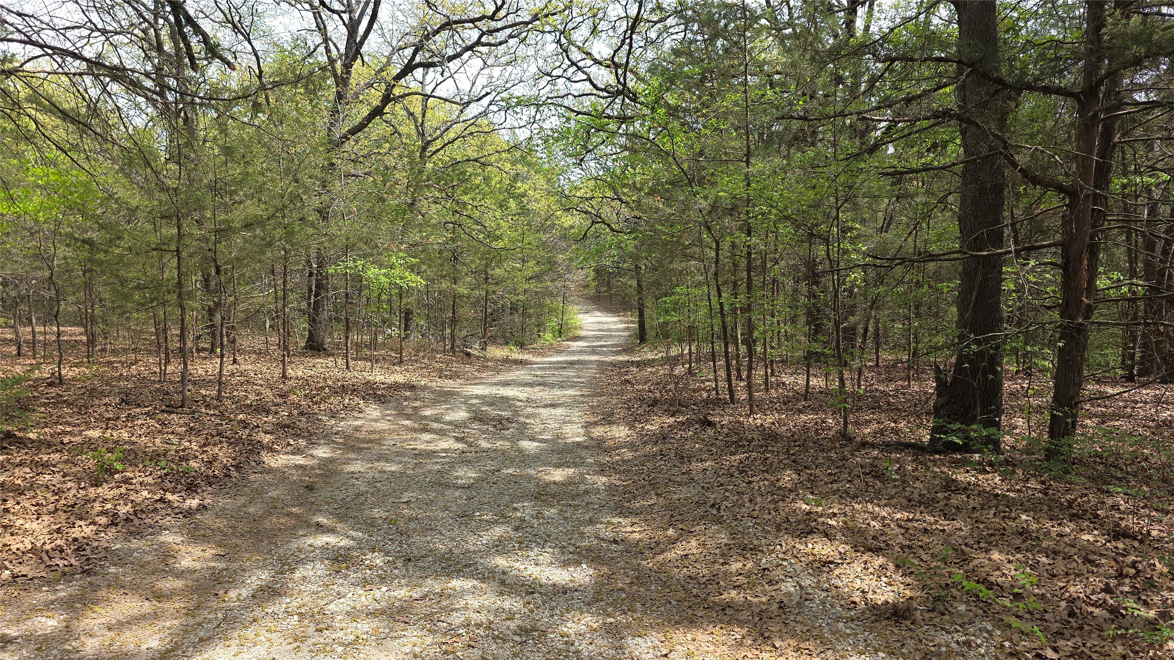 1975 County Road 1025 Ravenna TX 75476