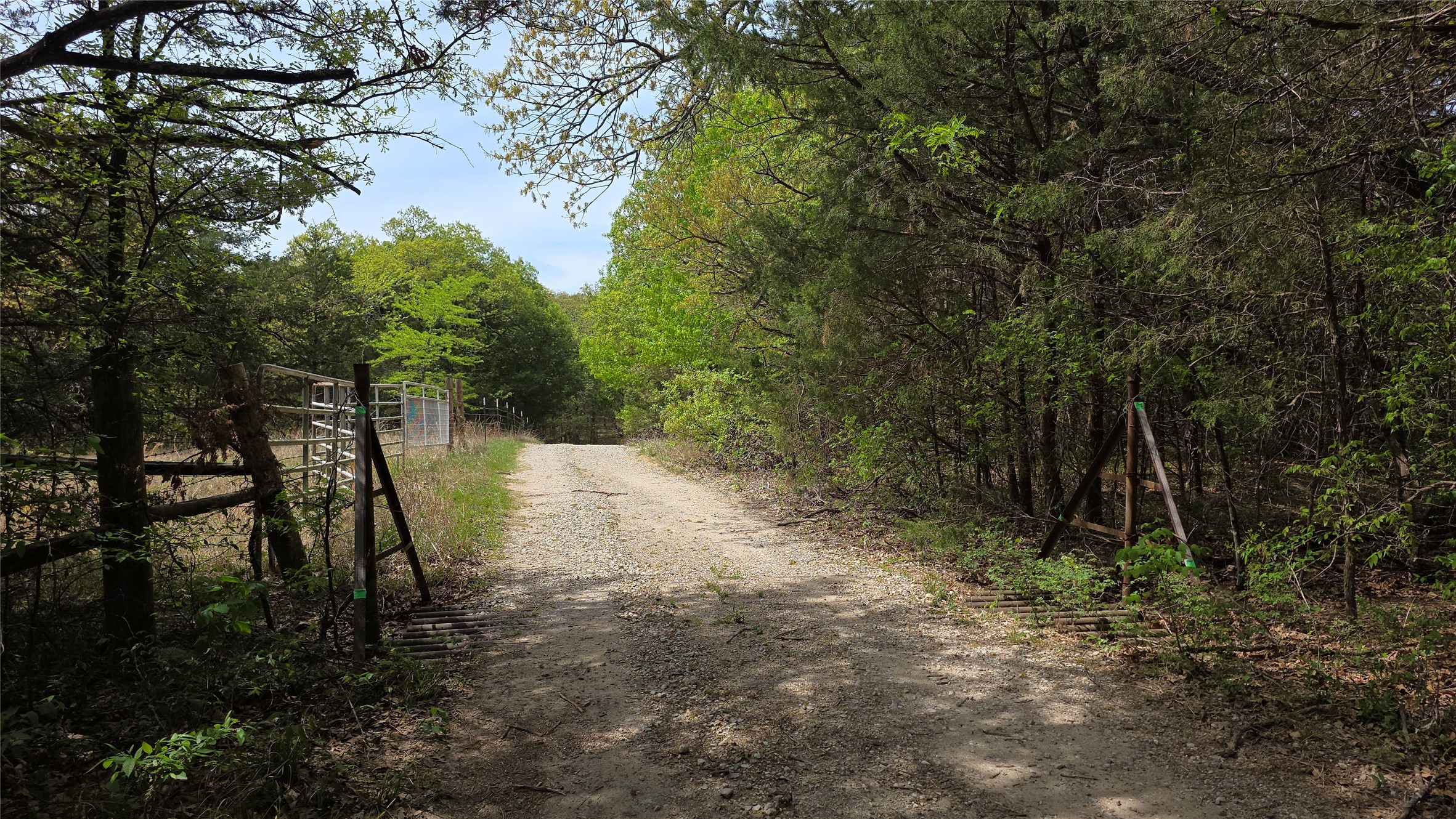 1975 County Road 1025 Ravenna TX 75476