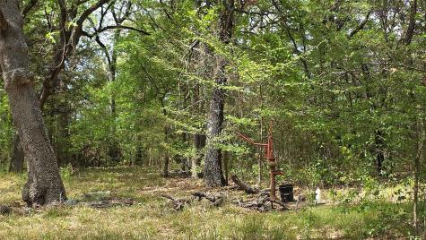 1975 County Road 1025 Ravenna TX 75476