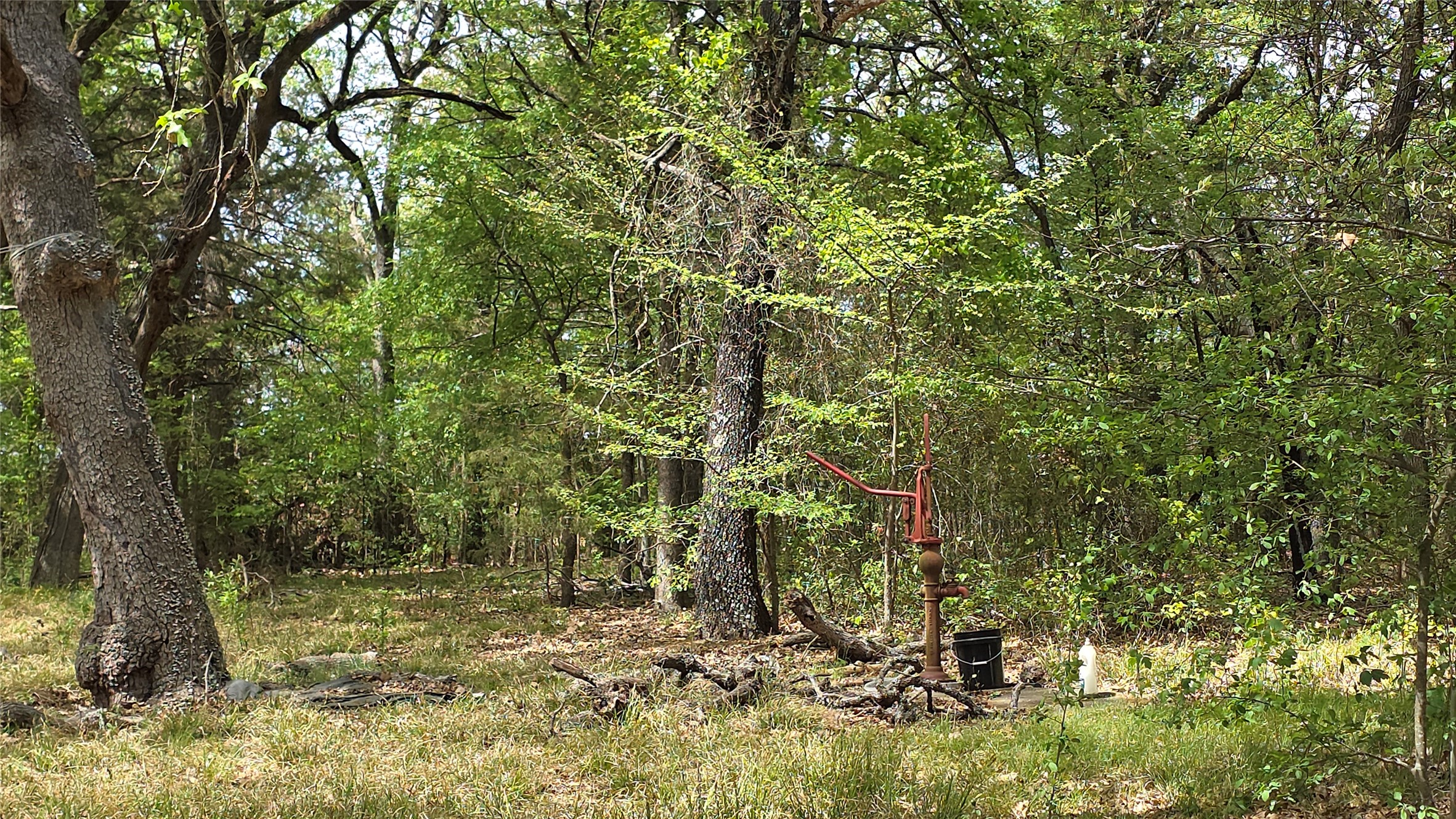 1975 County Road 1025 Ravenna TX 75476