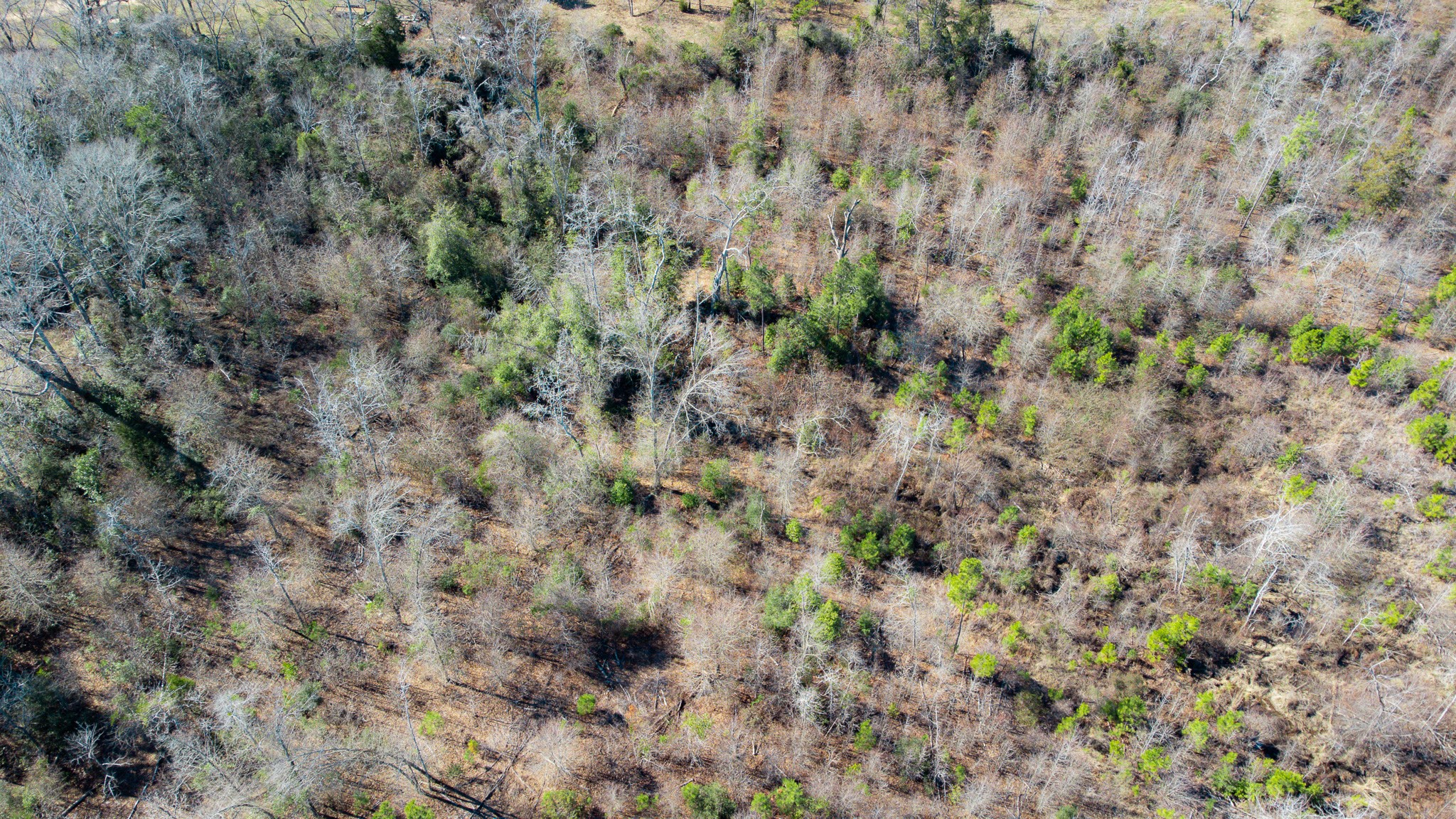 5.032 Acres Cr 3308 Jacksonville TX 75766