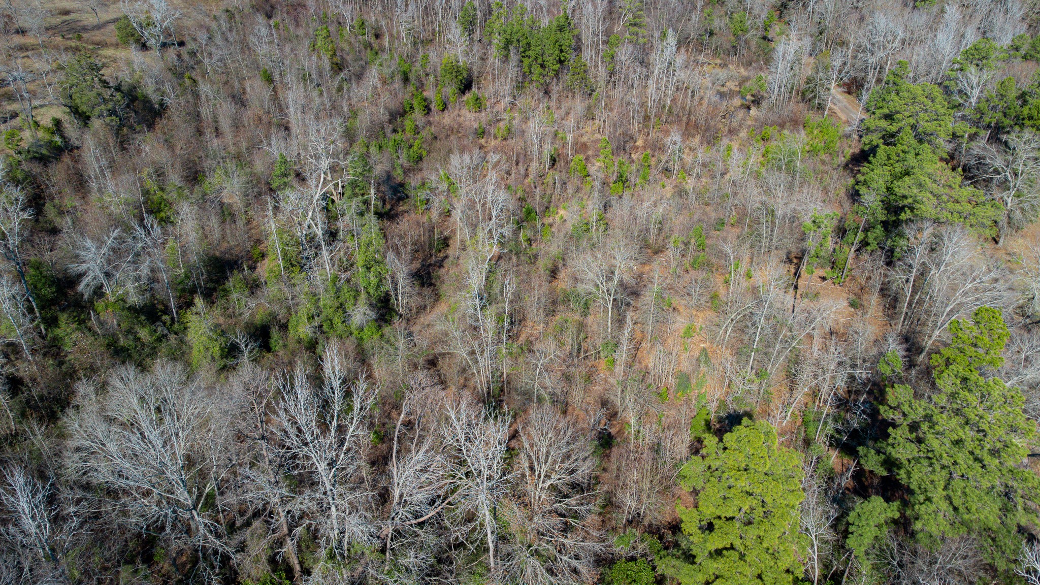 5.032 Acres Cr 3308 Jacksonville TX 75766