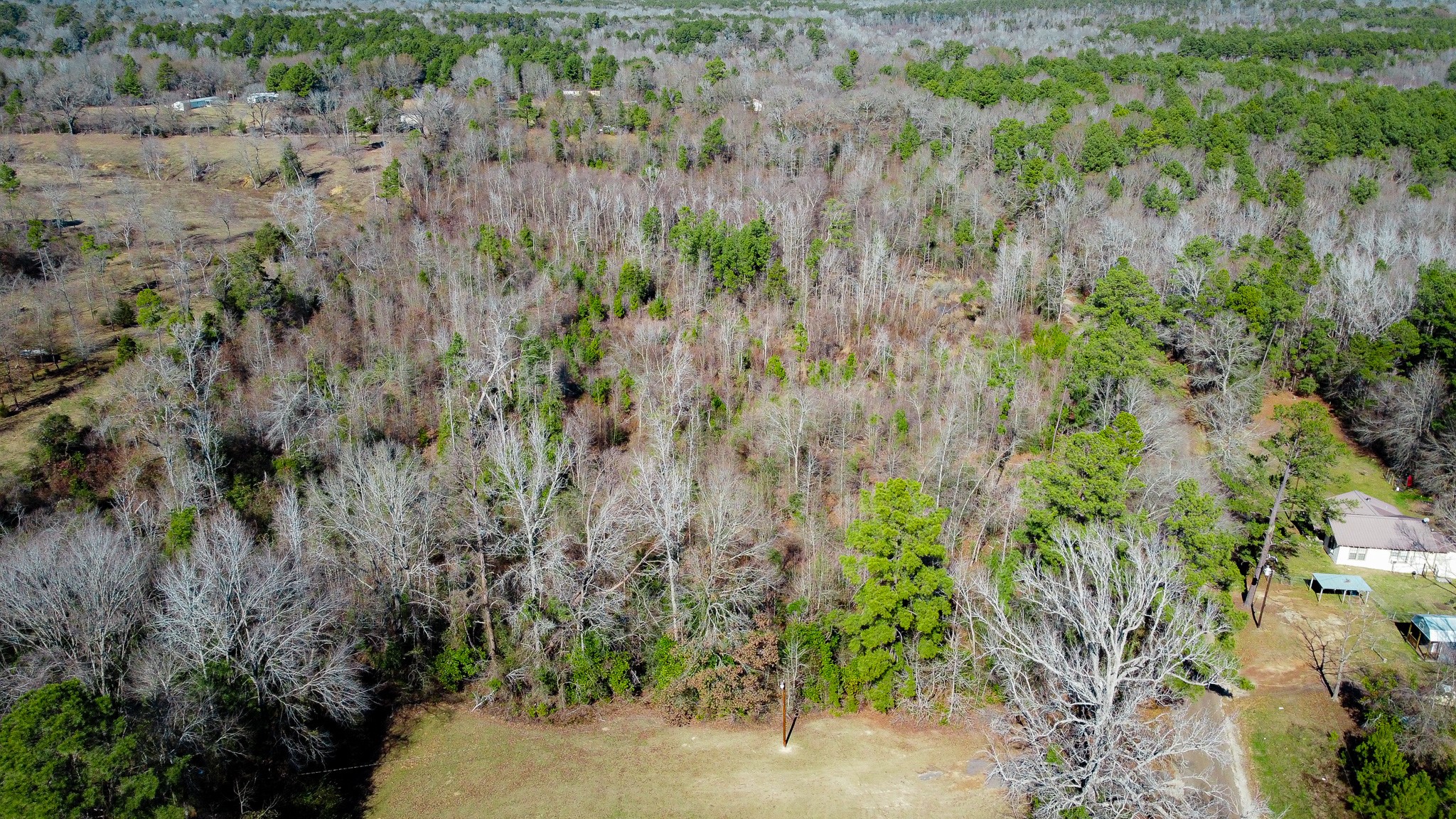 5.032 Acres Cr 3308 Jacksonville TX 75766