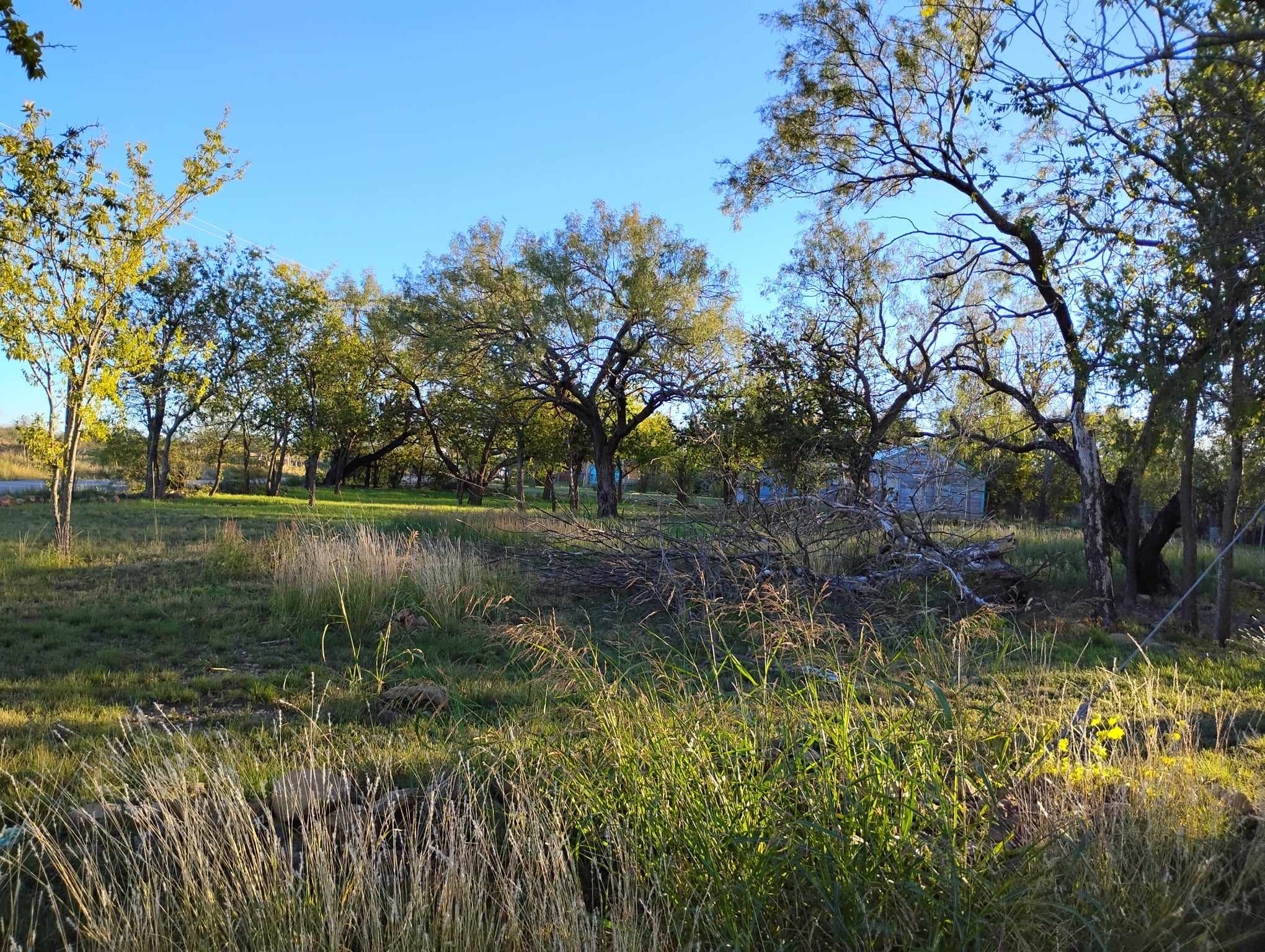 816 E 3rd Street Coleman TX 76834
