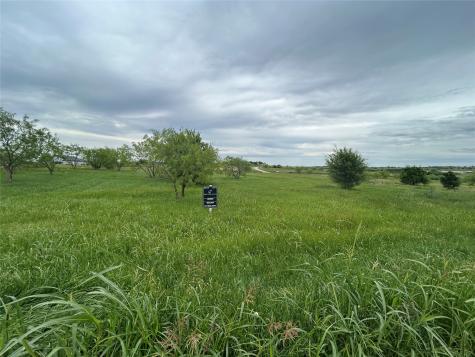 2059 Hidden Bluff Drive Aledo TX 76008