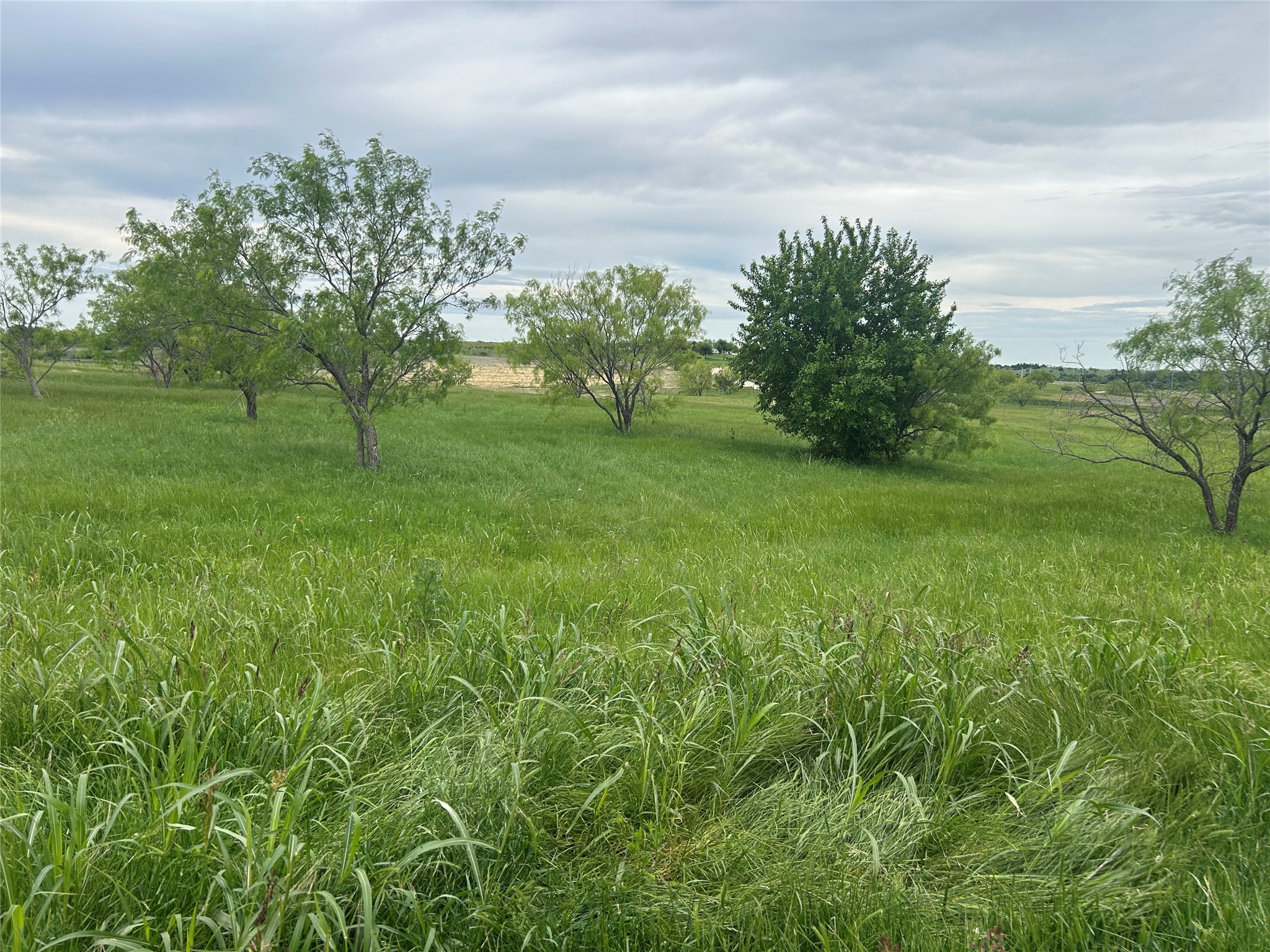 2059 Hidden Bluff Drive Aledo TX 76008