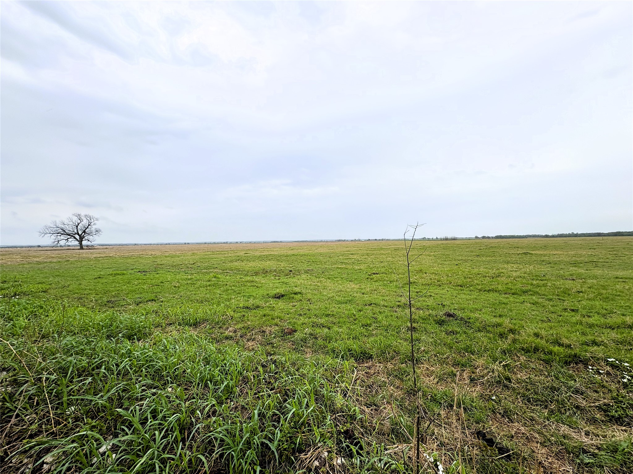 Tbd Cr 182 Marlin TX 76661