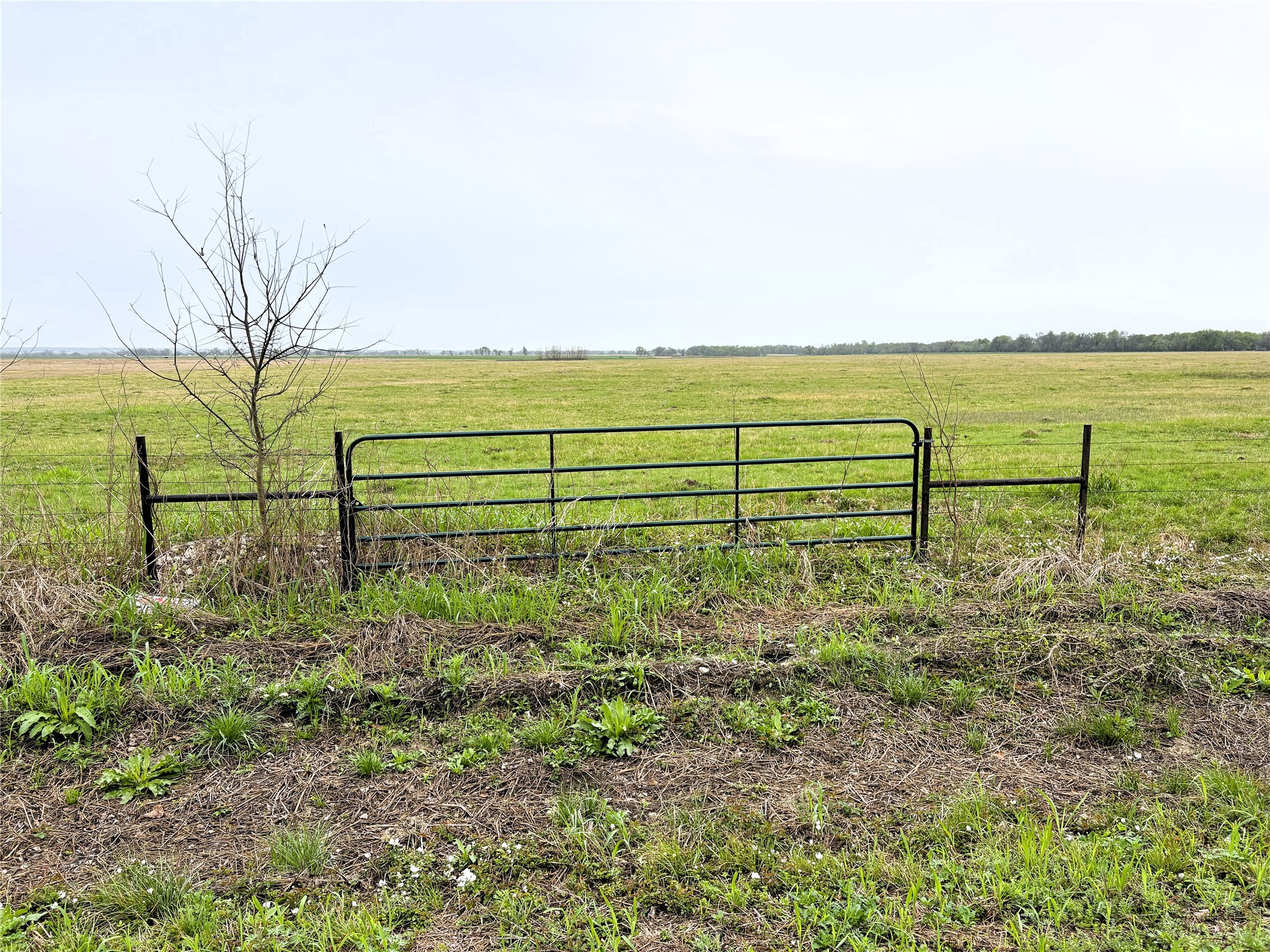 Tbd Cr 182 Marlin TX 76661