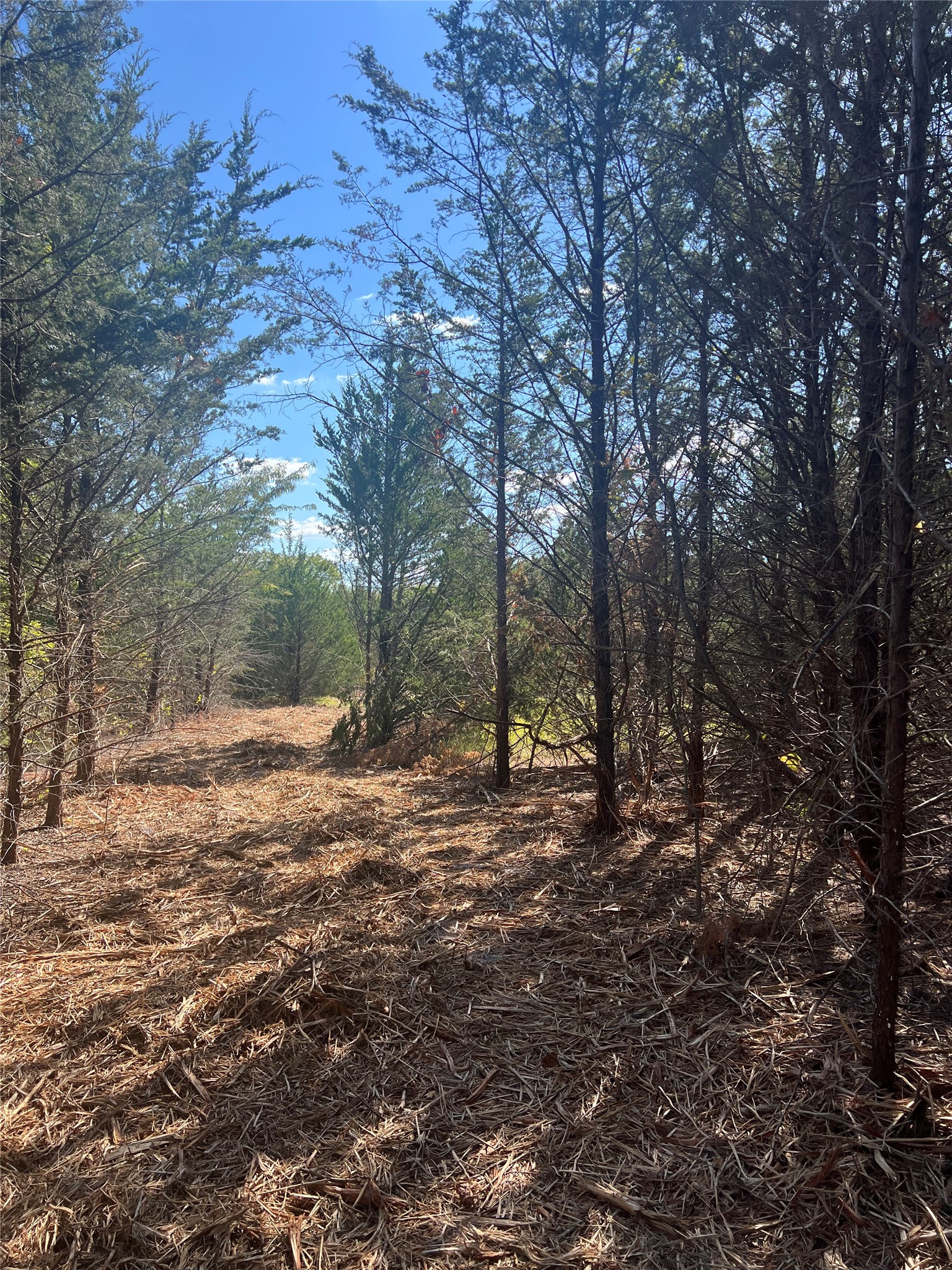 Tbd Rochelle Cannon Road Whitewright TX 75491